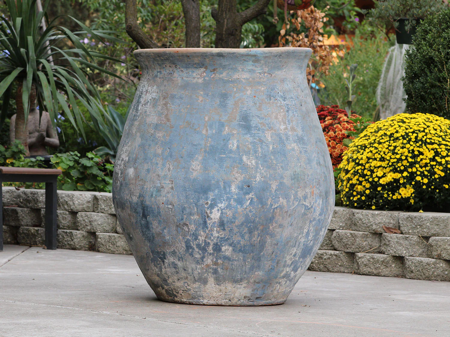 Planter De Hacienda - Image 6