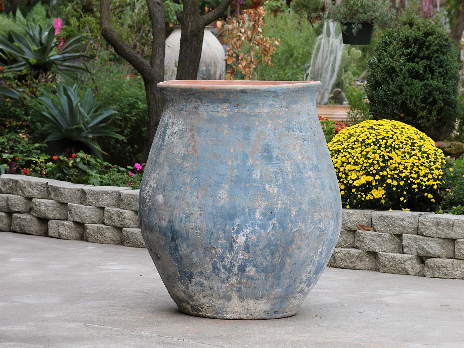 Planter De Hacienda - Image 7