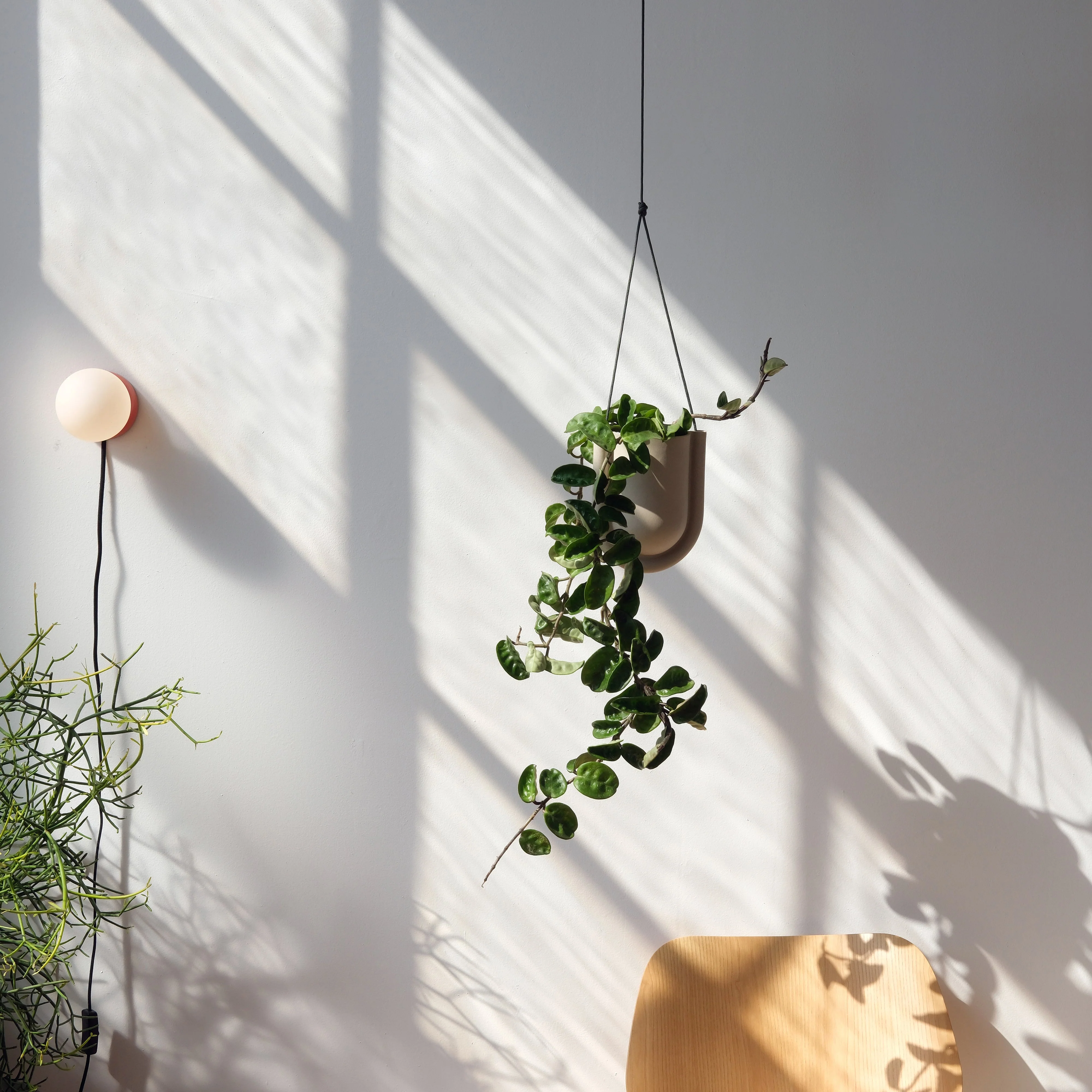 Portico Planter - Image 12