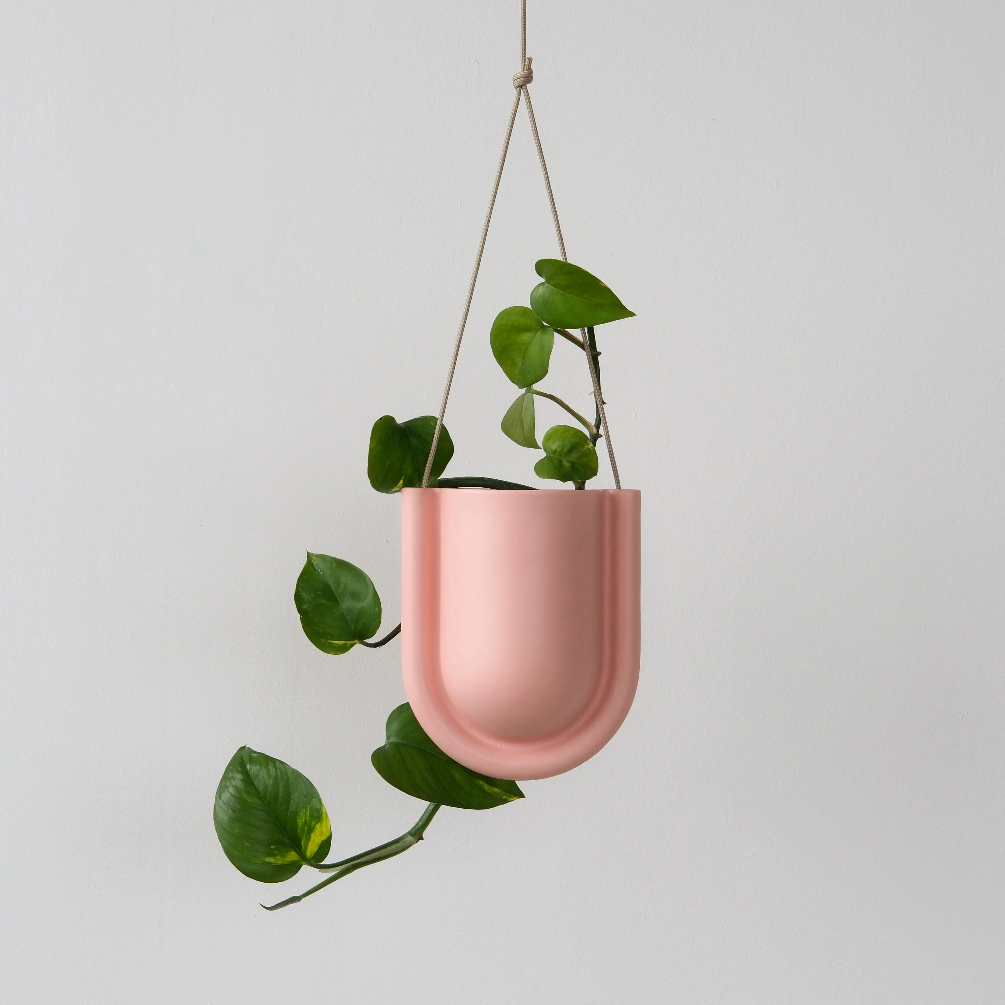 Portico Planter - Image 5