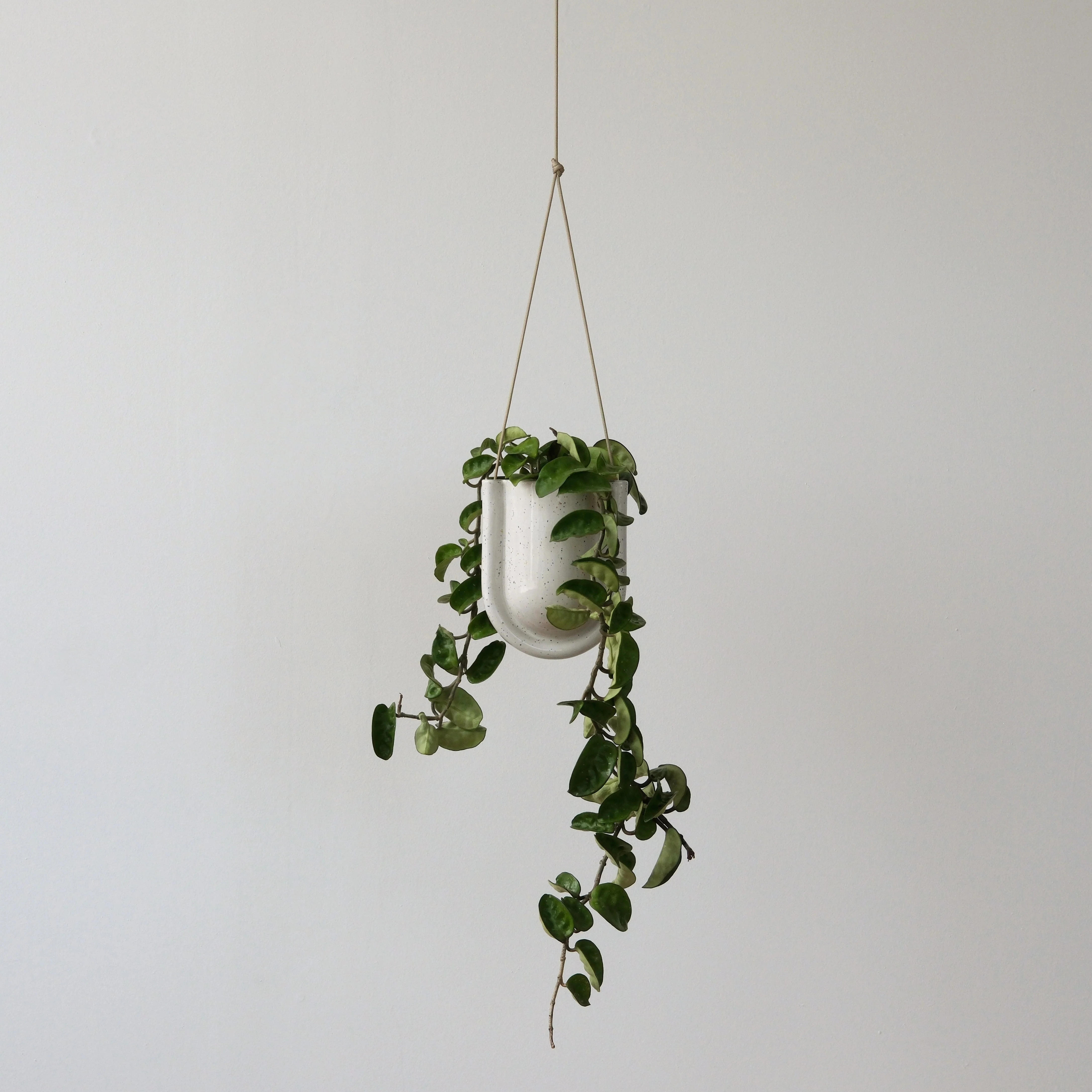 Portico Planter - Image 6