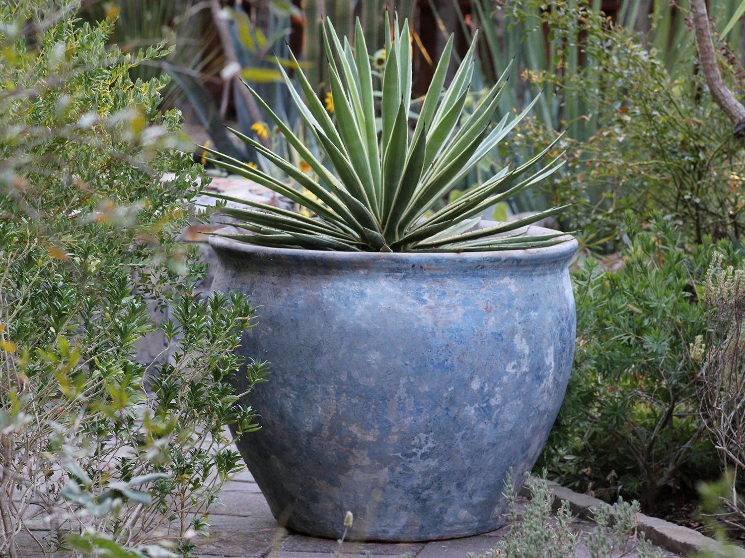 Prairie Pot - Image 10