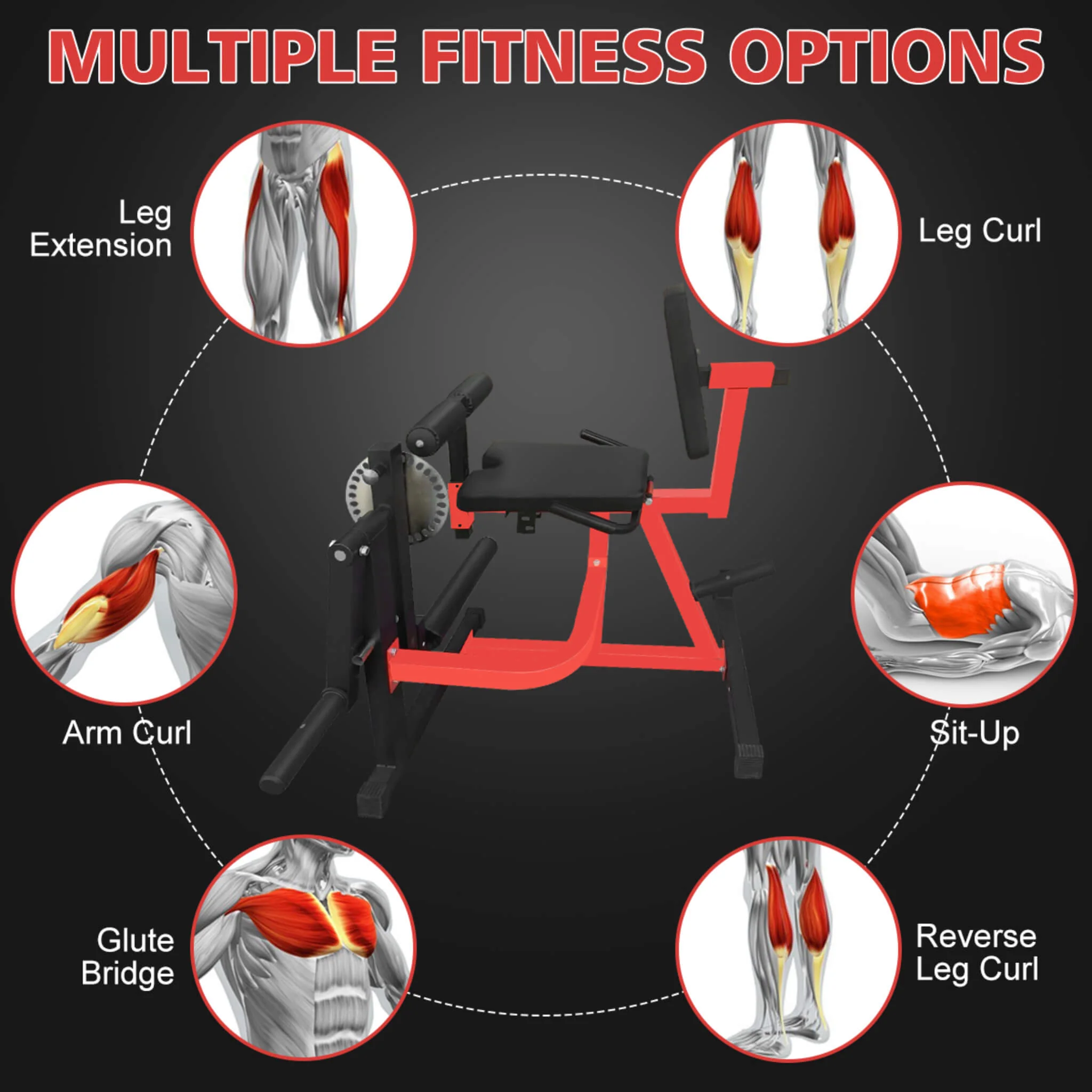 Premium 3-In-1 Multi-Functional Adjustable Leg Extension And Curl Machine For Lower Body Workouts (SAK21427) - Image 3