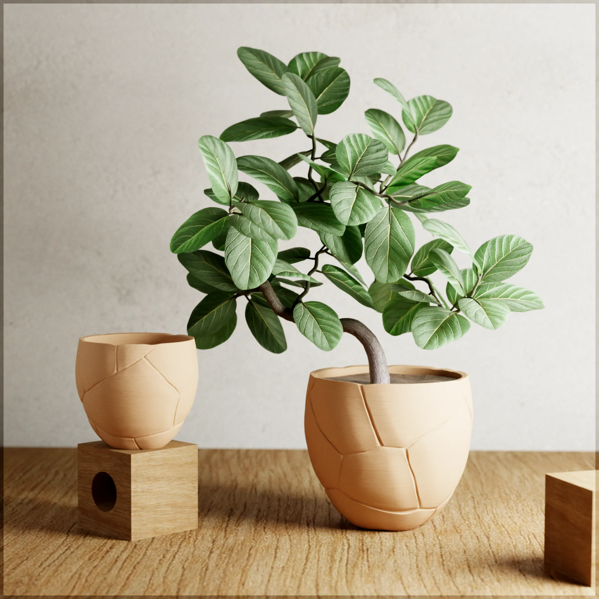 QUAKE Planter - Image 11