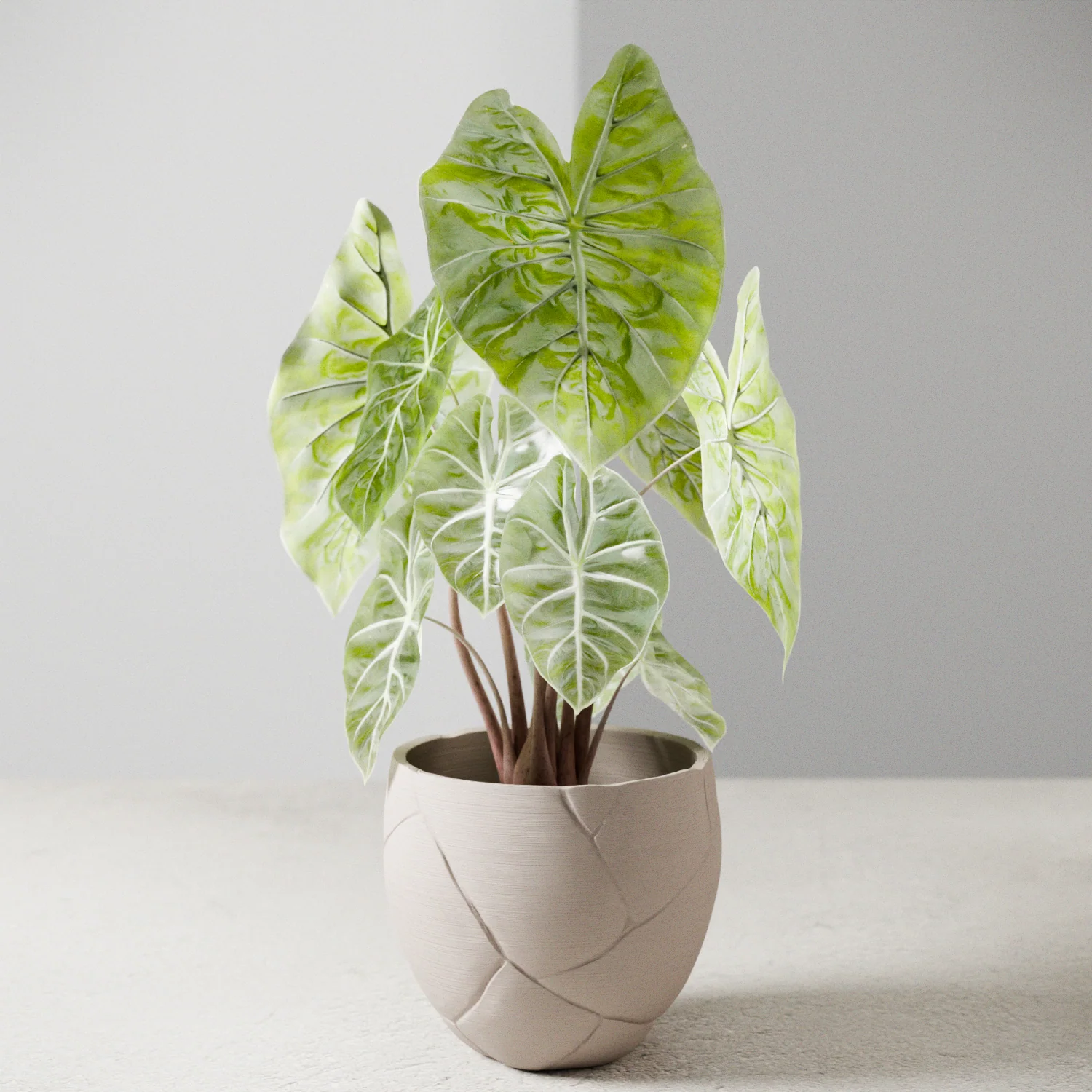 QUAKE Planter - Image 2