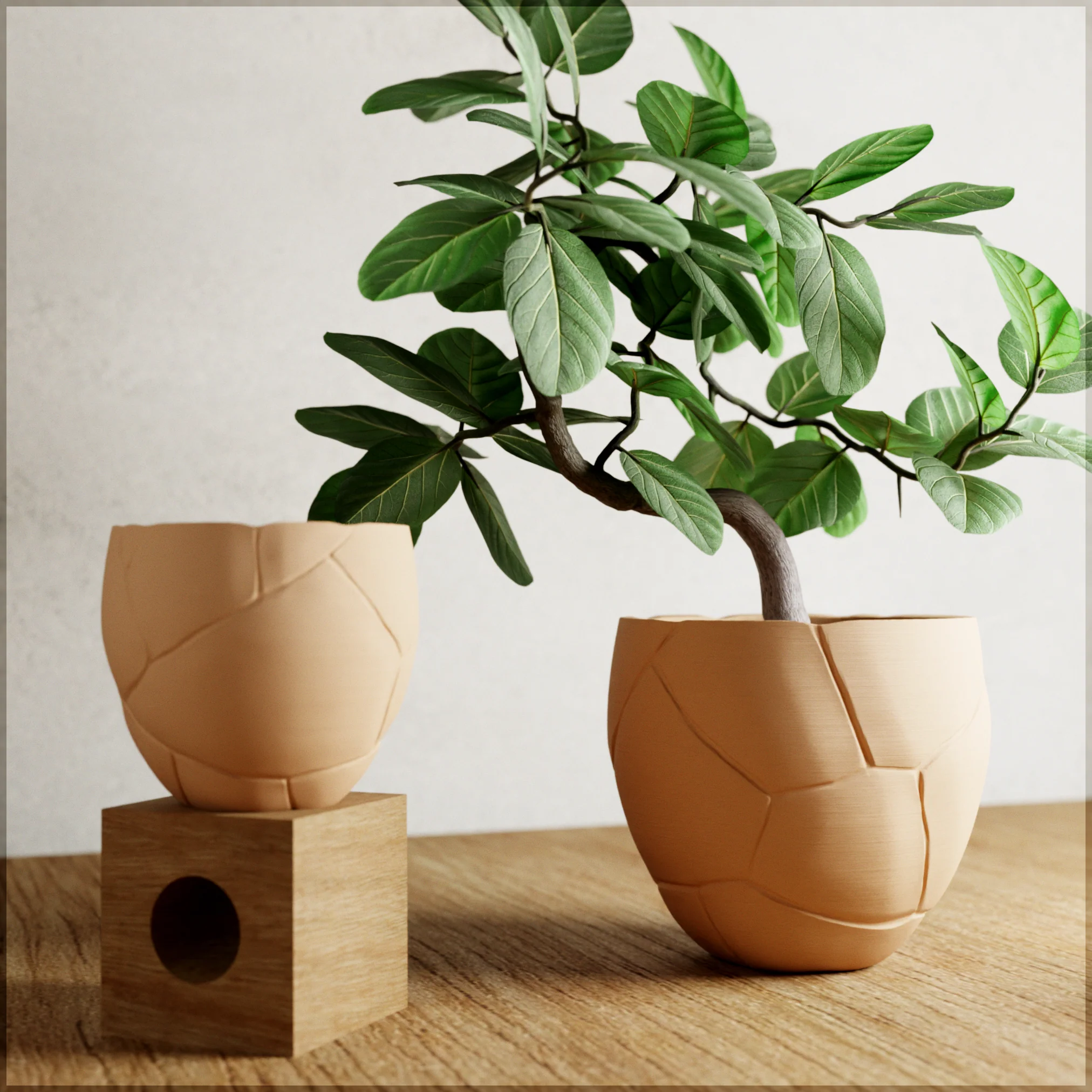 QUAKE Planter - Image 4