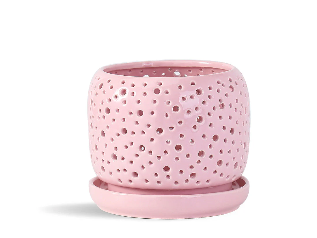 Rain Drop Orchid Planter-Pastel By Plantatorem - Image 2