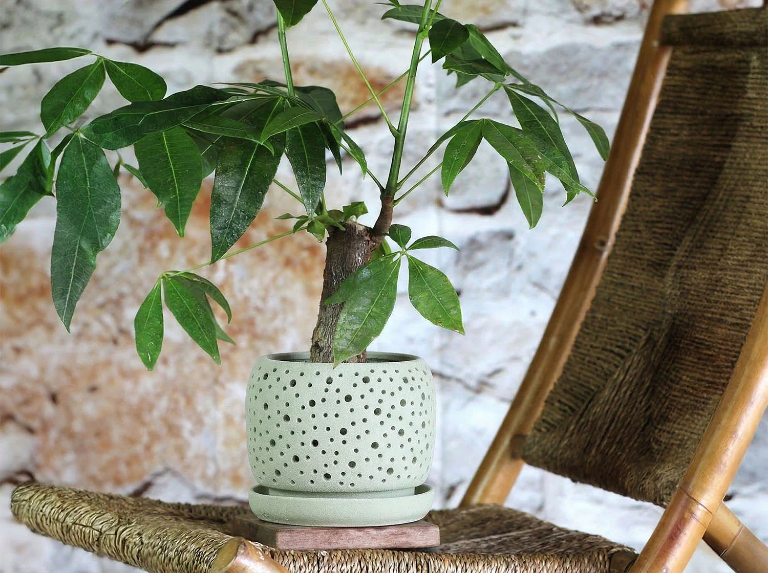 Rain Drop Orchid Planter-Sand By Plantatorem - Image 7