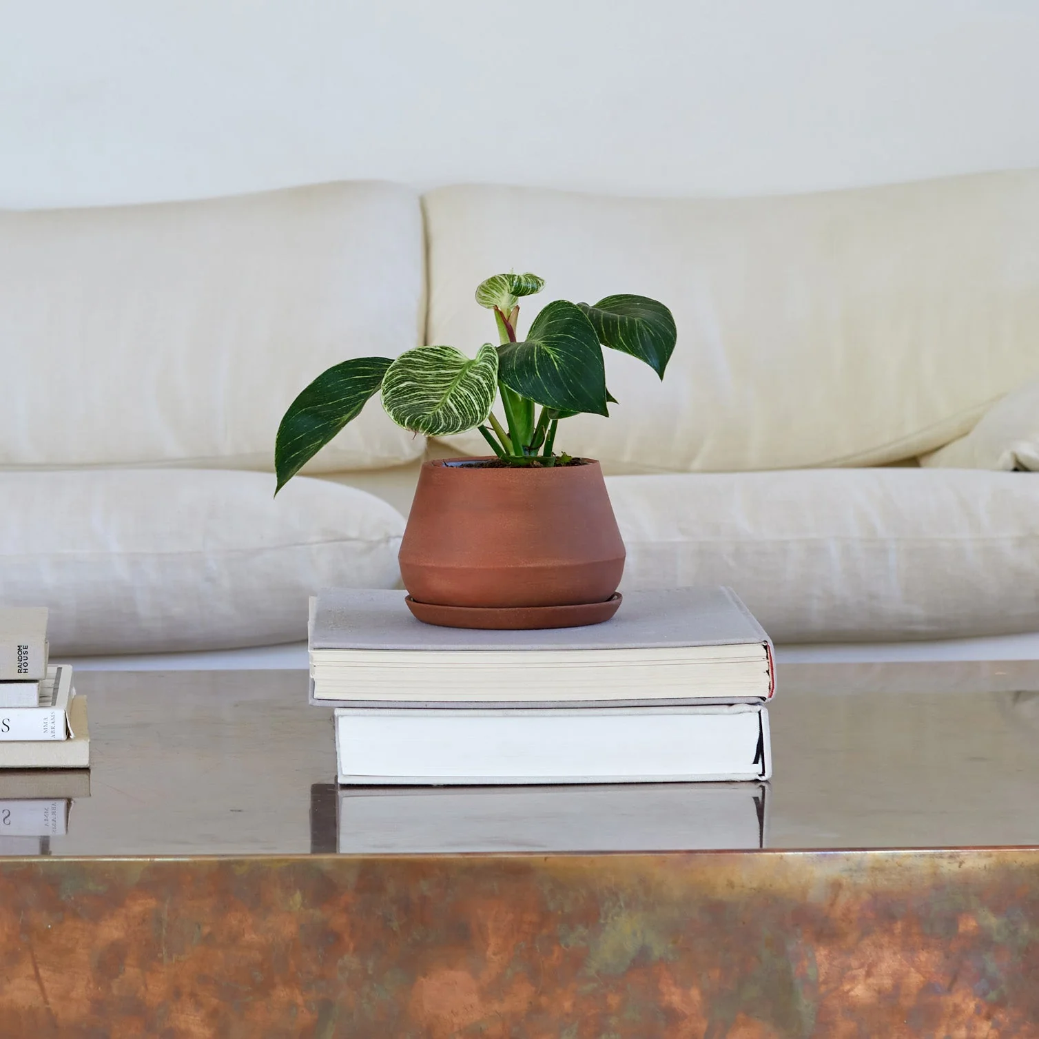 The Rancho Planter - Image 2