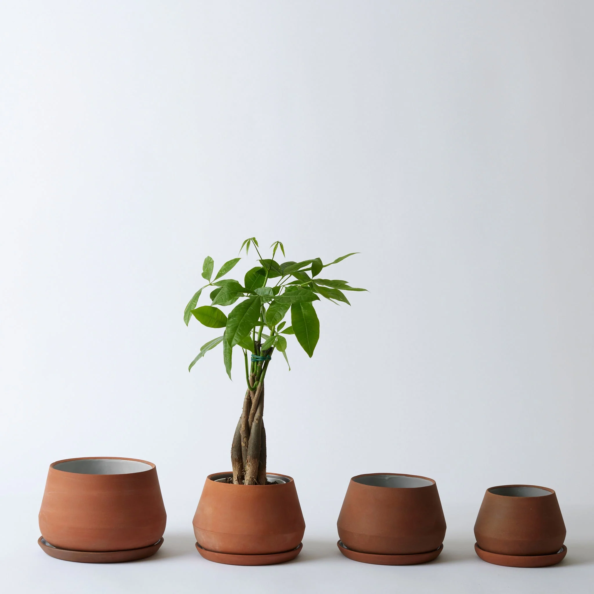 The Rancho Planter - Image 28