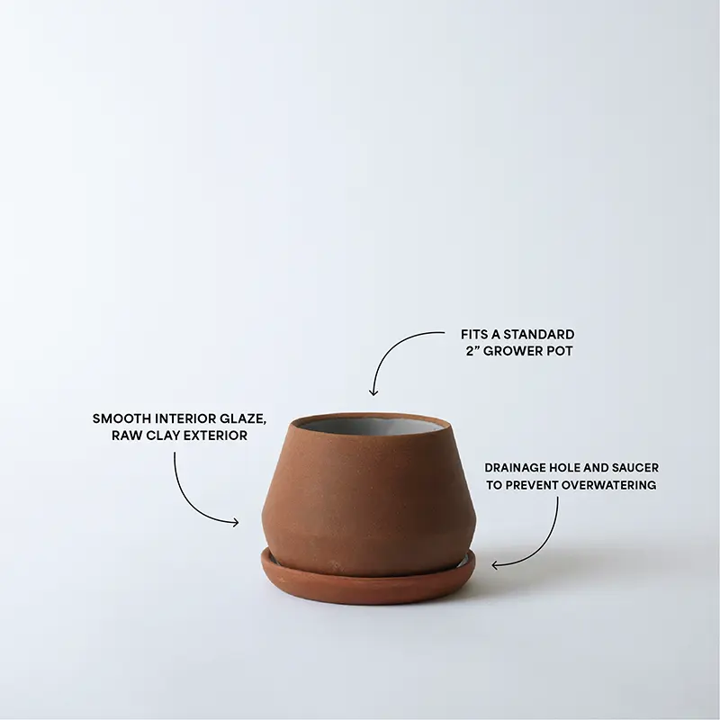 The Rancho Planter - Image 3