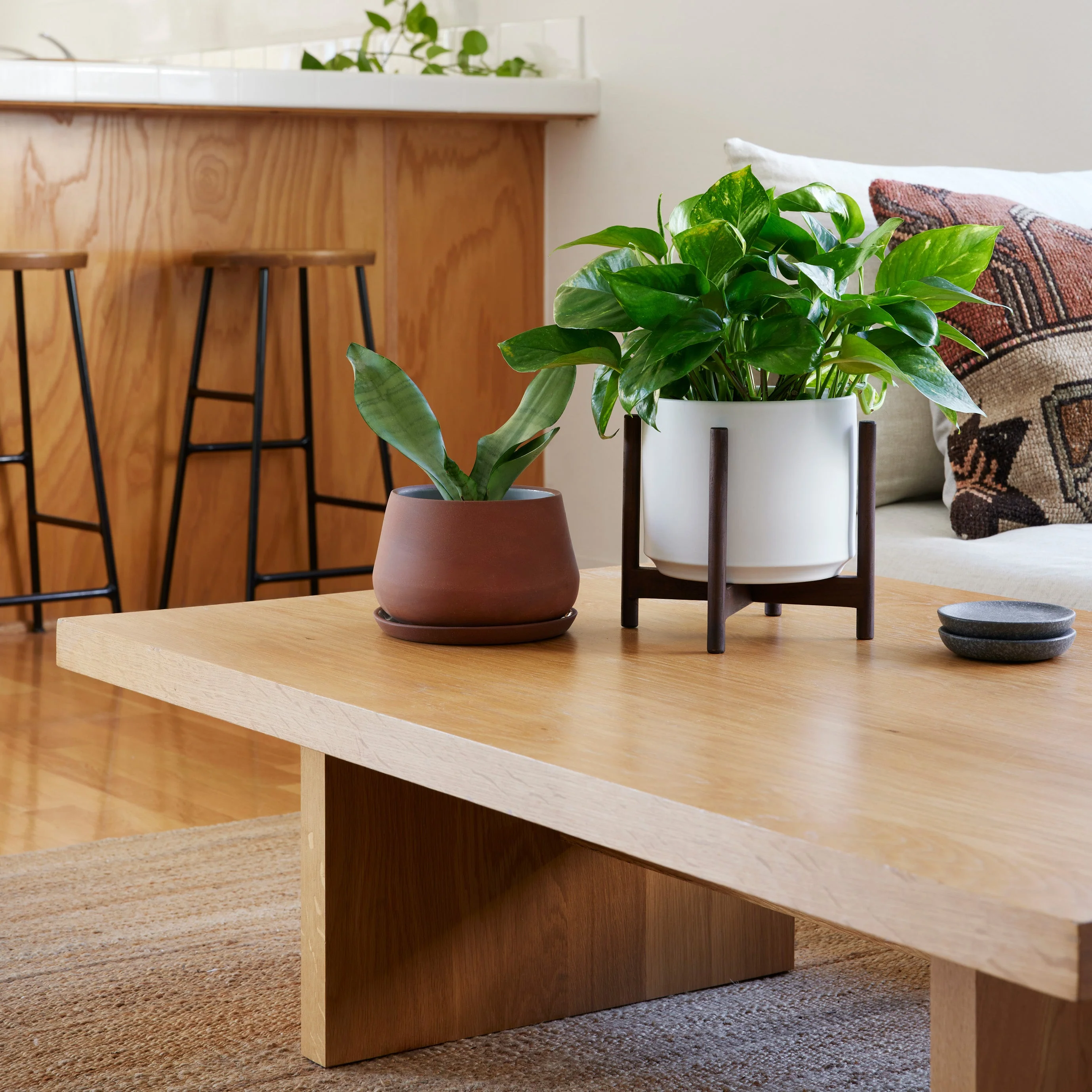 The Rancho Planter - Image 5