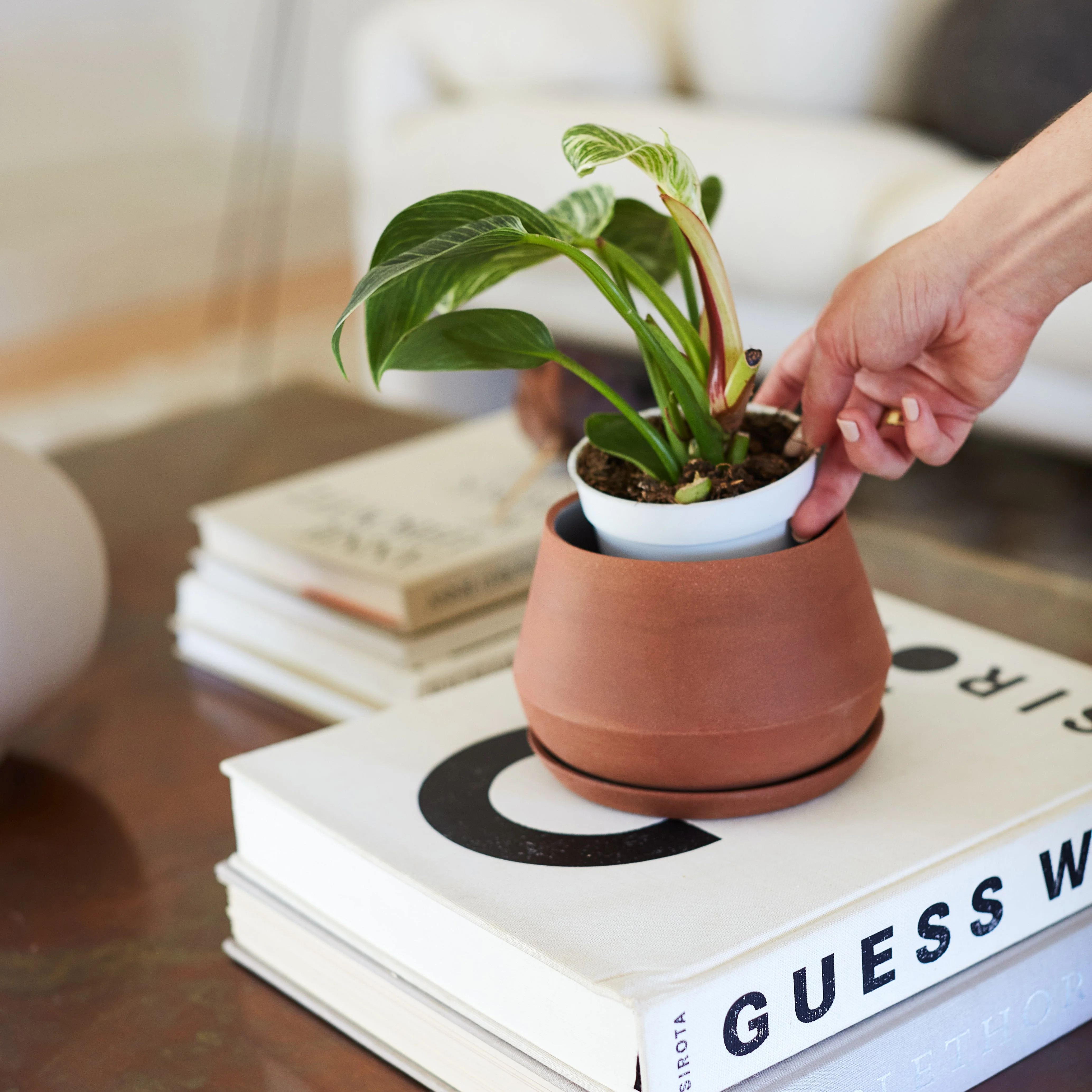 The Rancho Planter - Image 8
