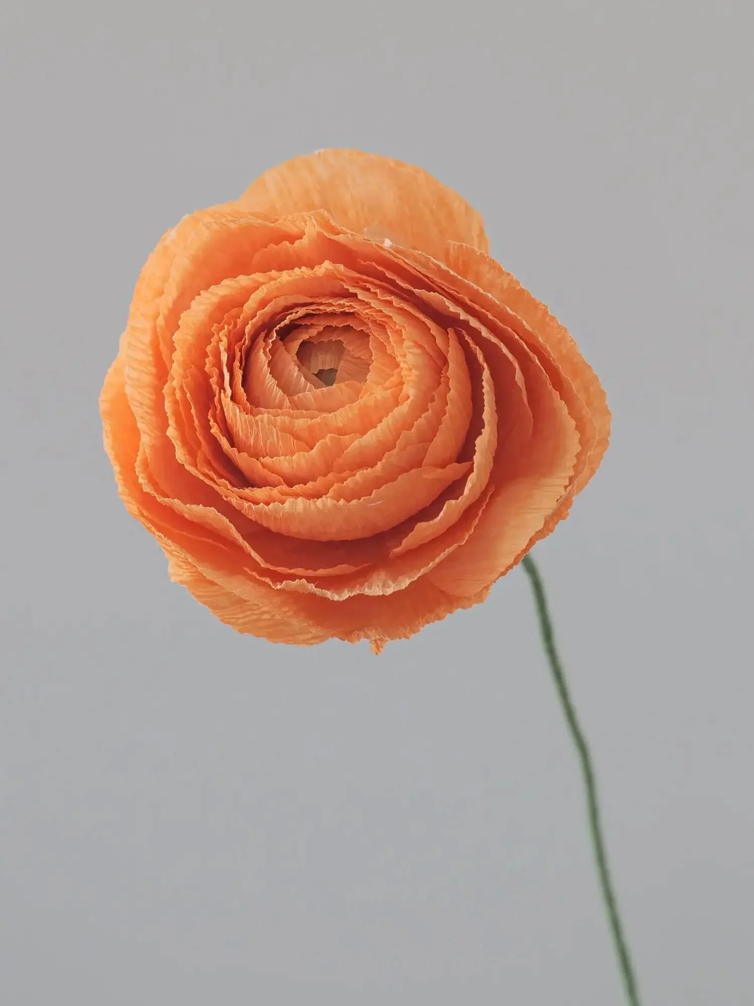 Ranunculus Single Stem | Paper Flower Decor - Image 10