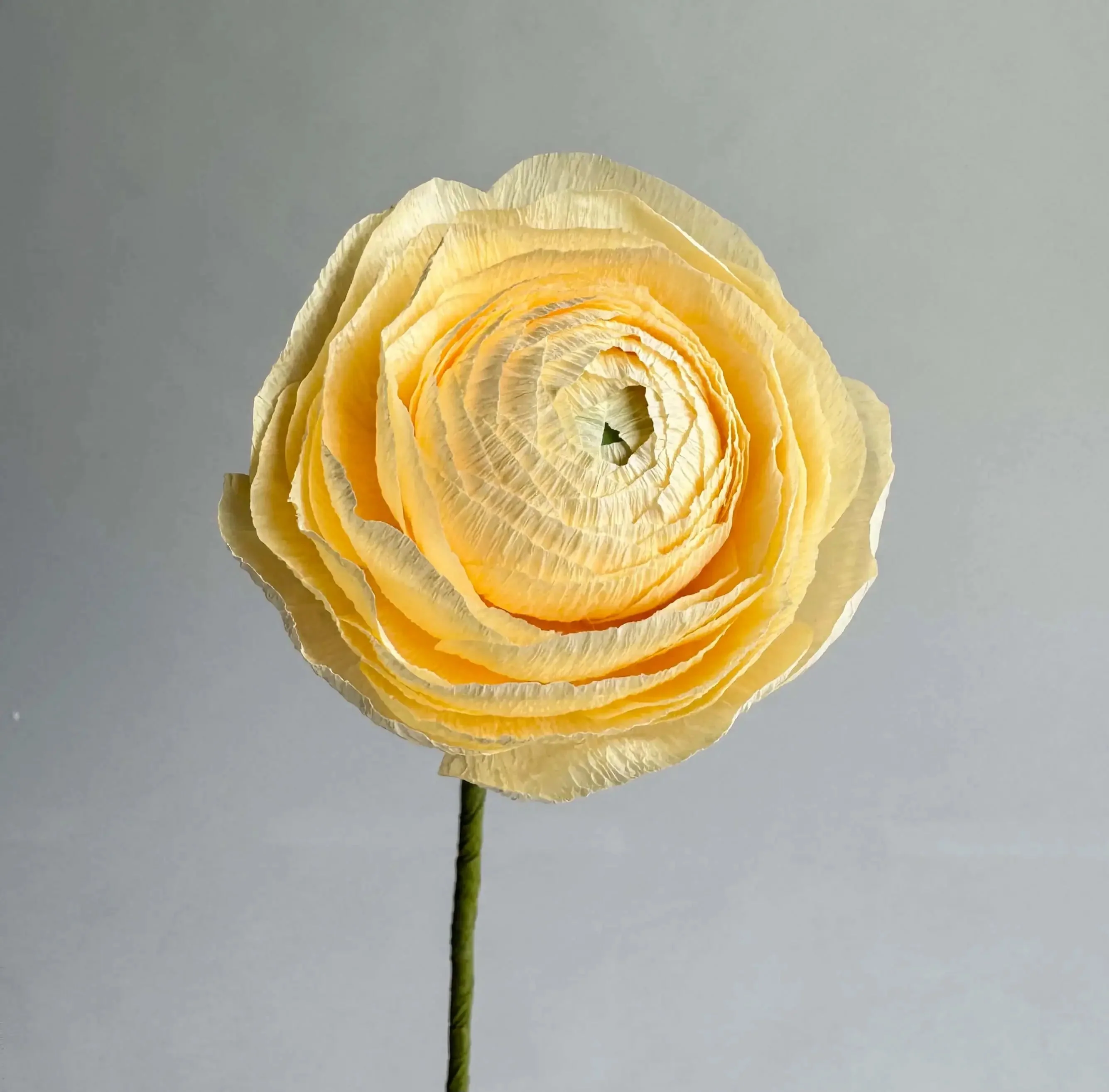 Ranunculus Single Stem | Paper Flower Decor - Image 12