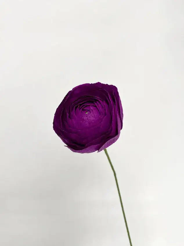 Ranunculus Single Stem | Paper Flower Decor - Image 2