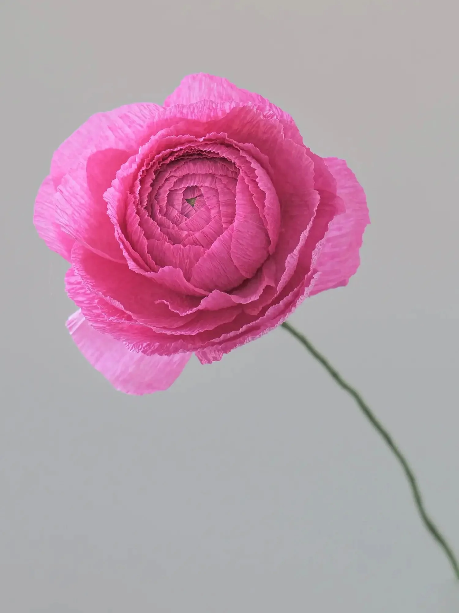 Ranunculus Single Stem | Paper Flower Decor - Image 3