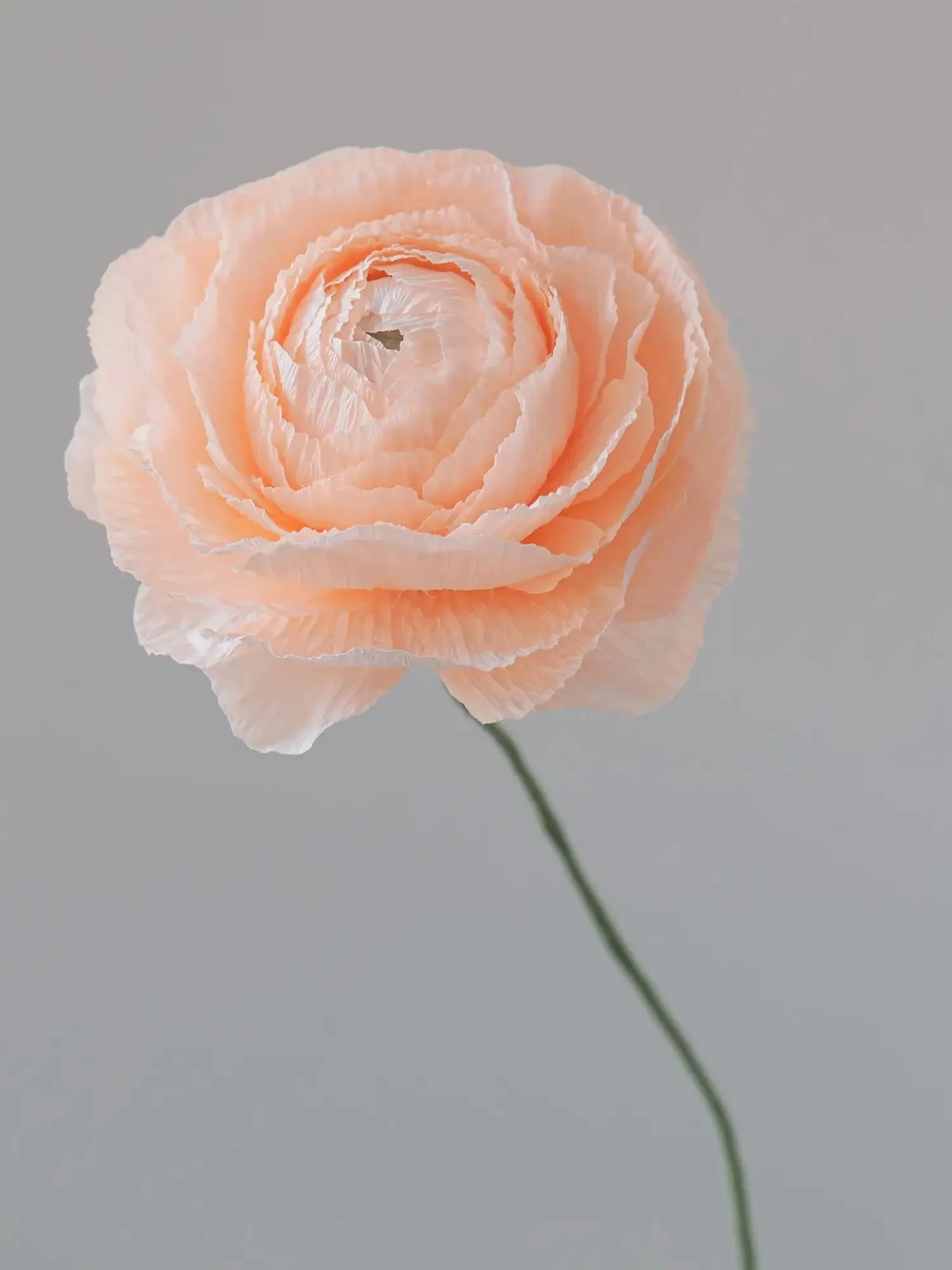 Ranunculus Single Stem | Paper Flower Decor - Image 6