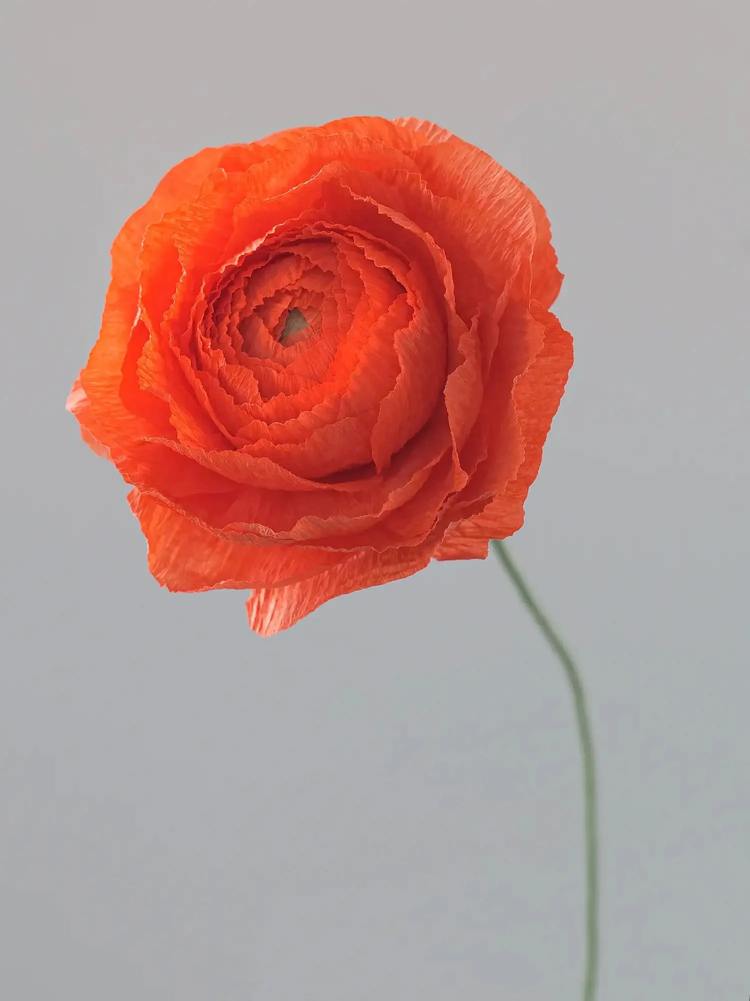 Ranunculus Single Stem | Paper Flower Decor - Image 7