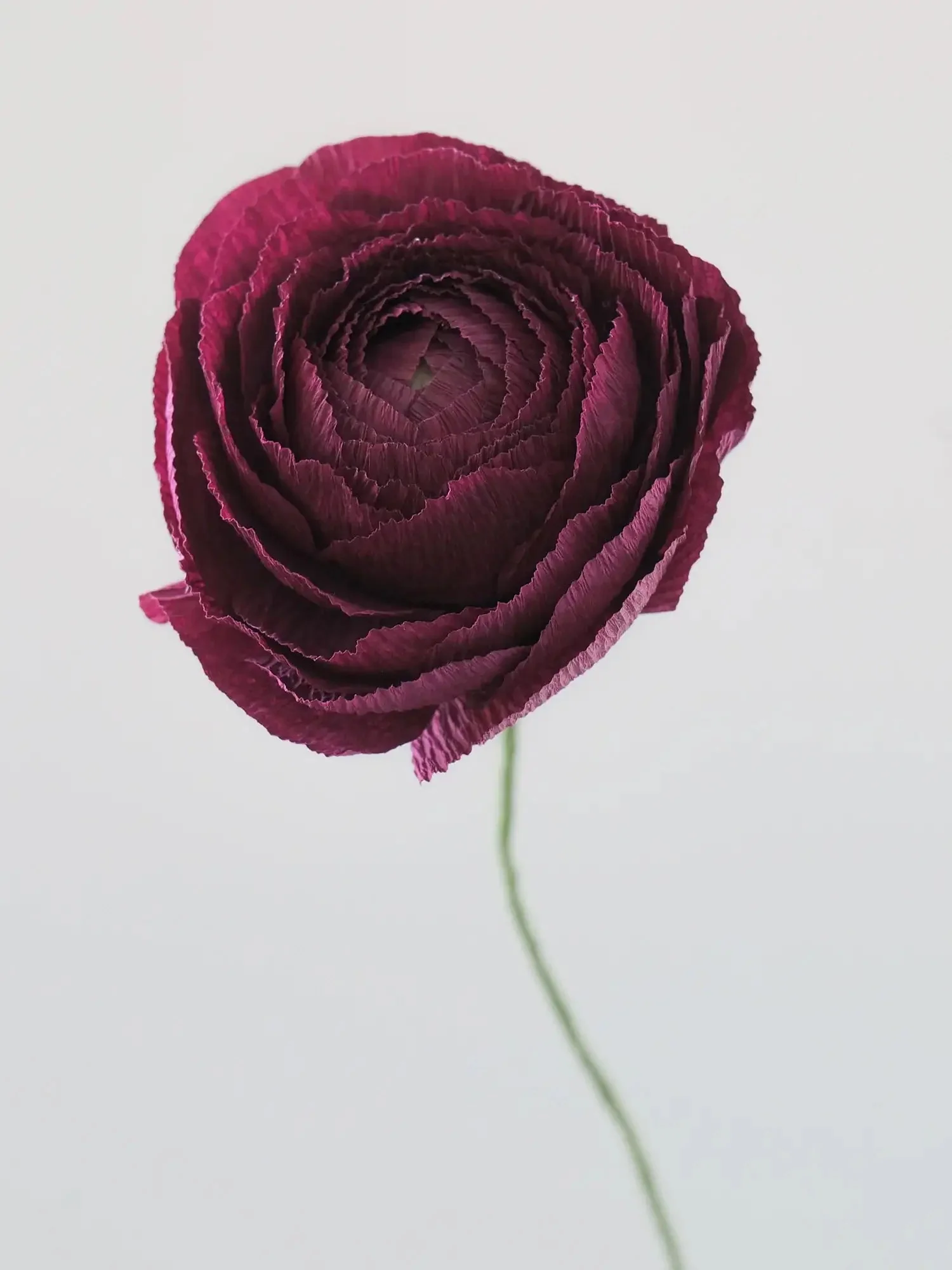 Ranunculus Single Stem | Paper Flower Decor - Image 8