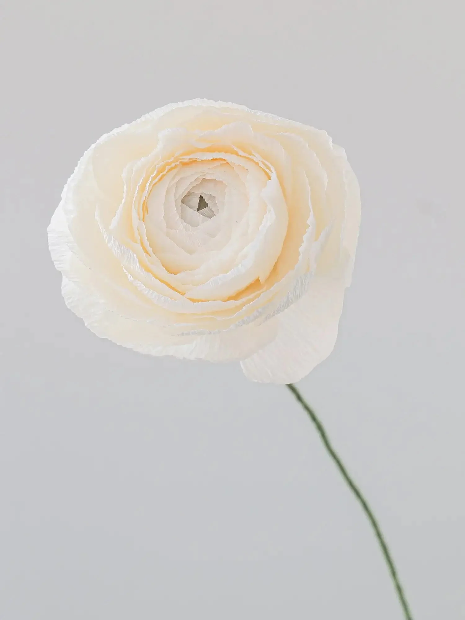 Ranunculus Single Stem | Paper Flower Decor - Image 9