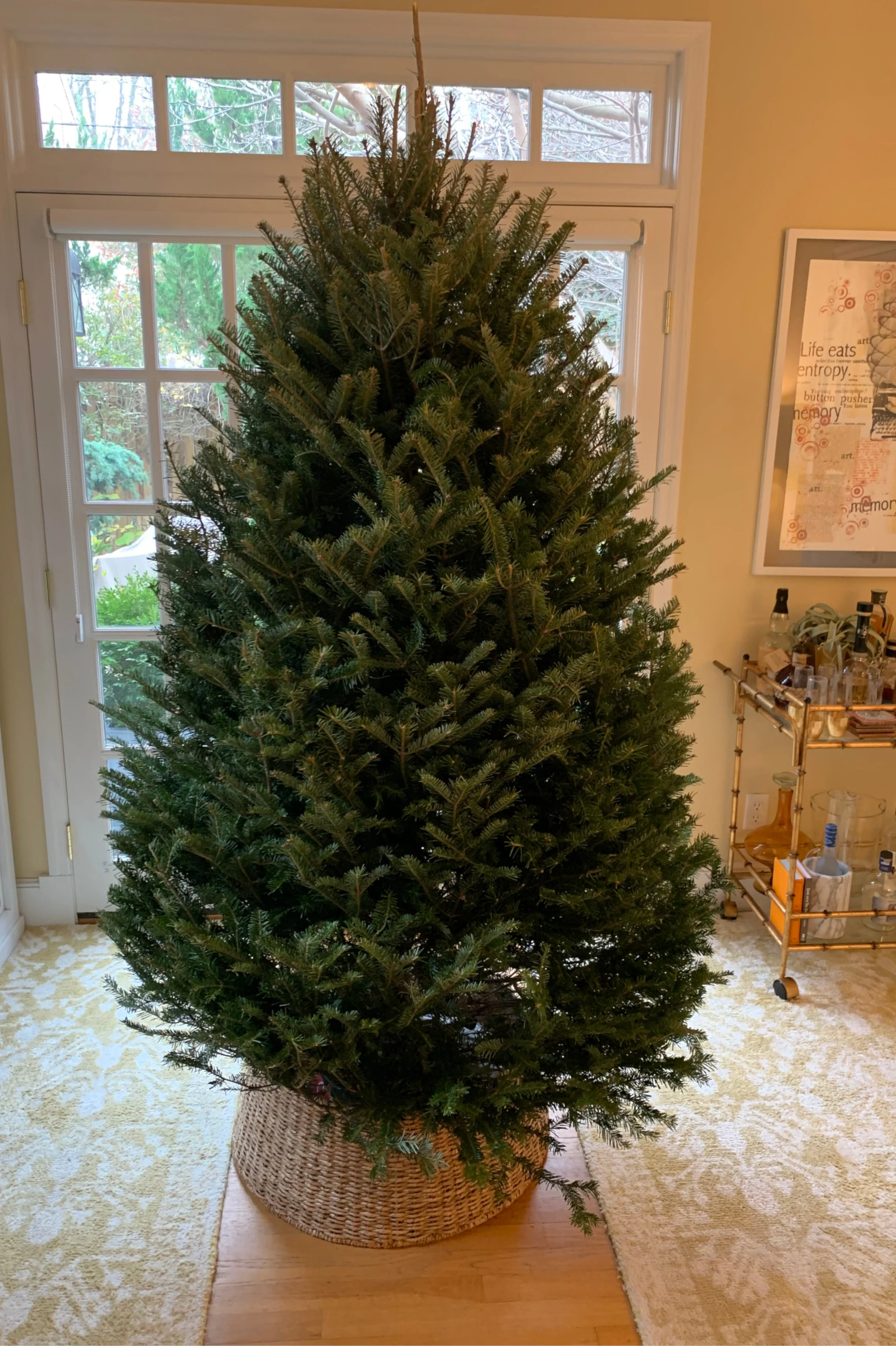 Real Christmas Trees Delivered 6 Foot Premium Balsam Fir Christmas Tree - Image 3