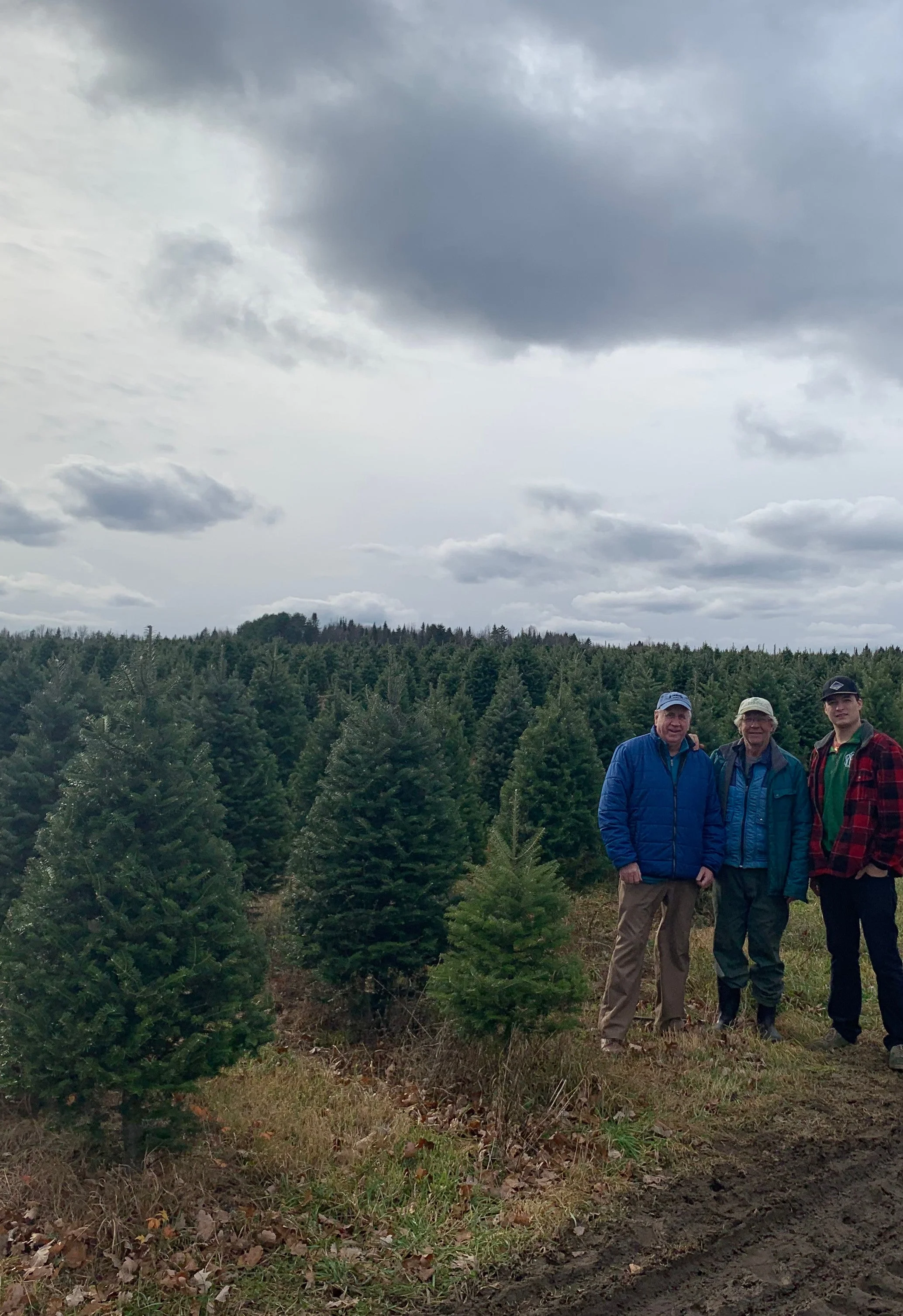 Real Christmas Trees Delivered 7 Foot Premium Balsam Fir Christmas Tree - Image 5