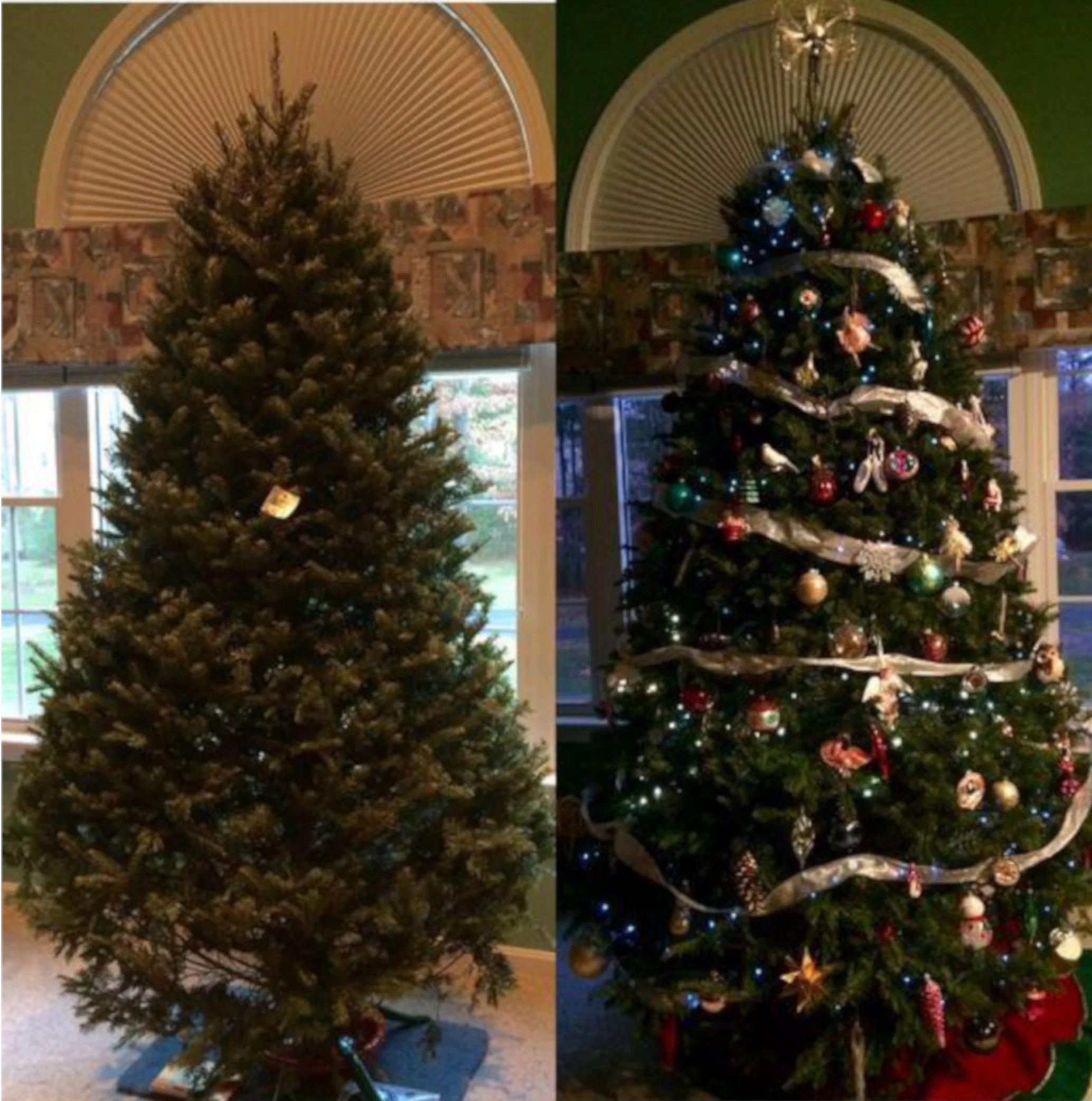 Real Christmas Trees Delivered 8 Foot Premium Balsam Fir Christmas Tree - Image 3