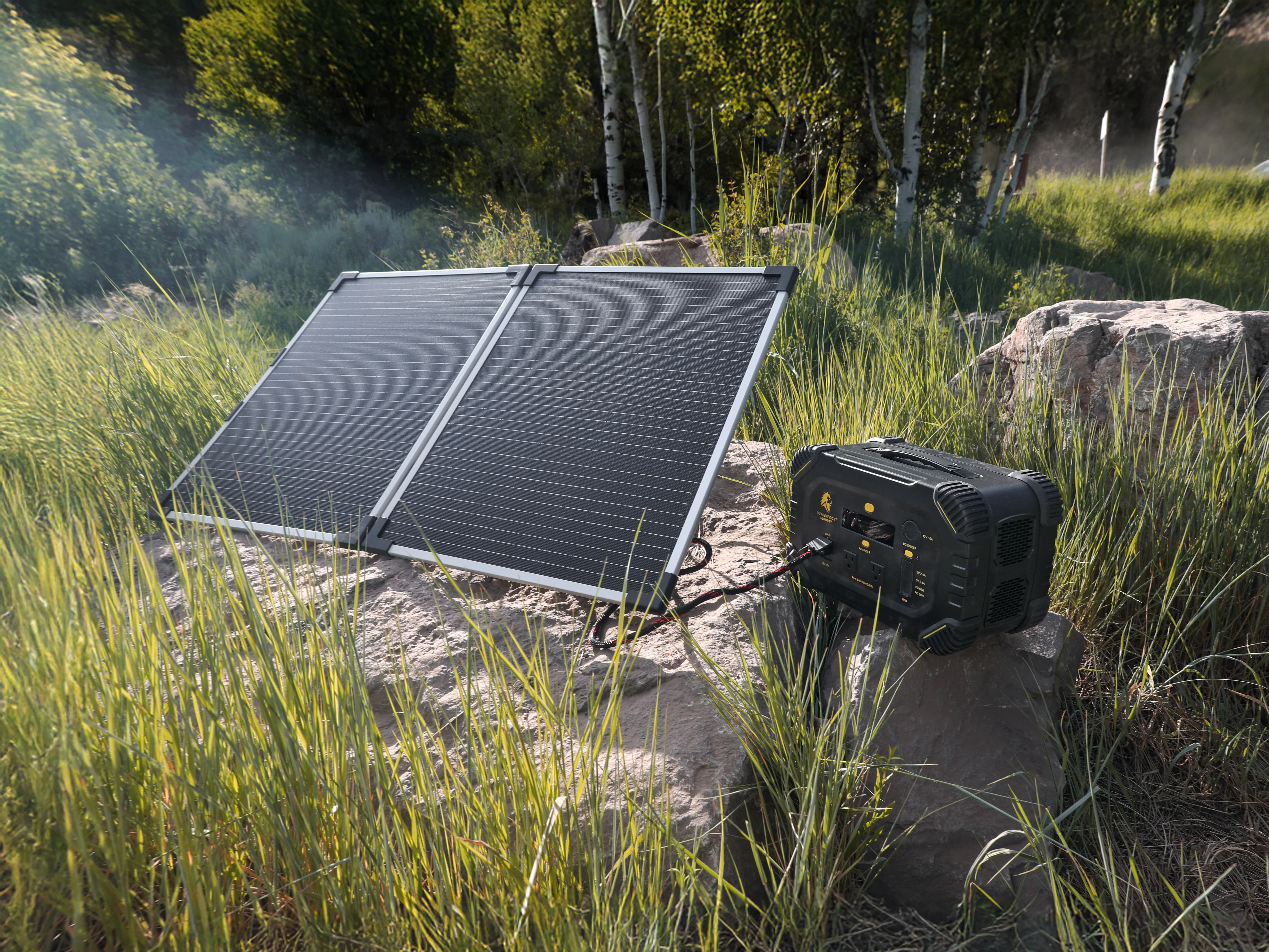 RECERTIFIED - Lion Summit - Image 5