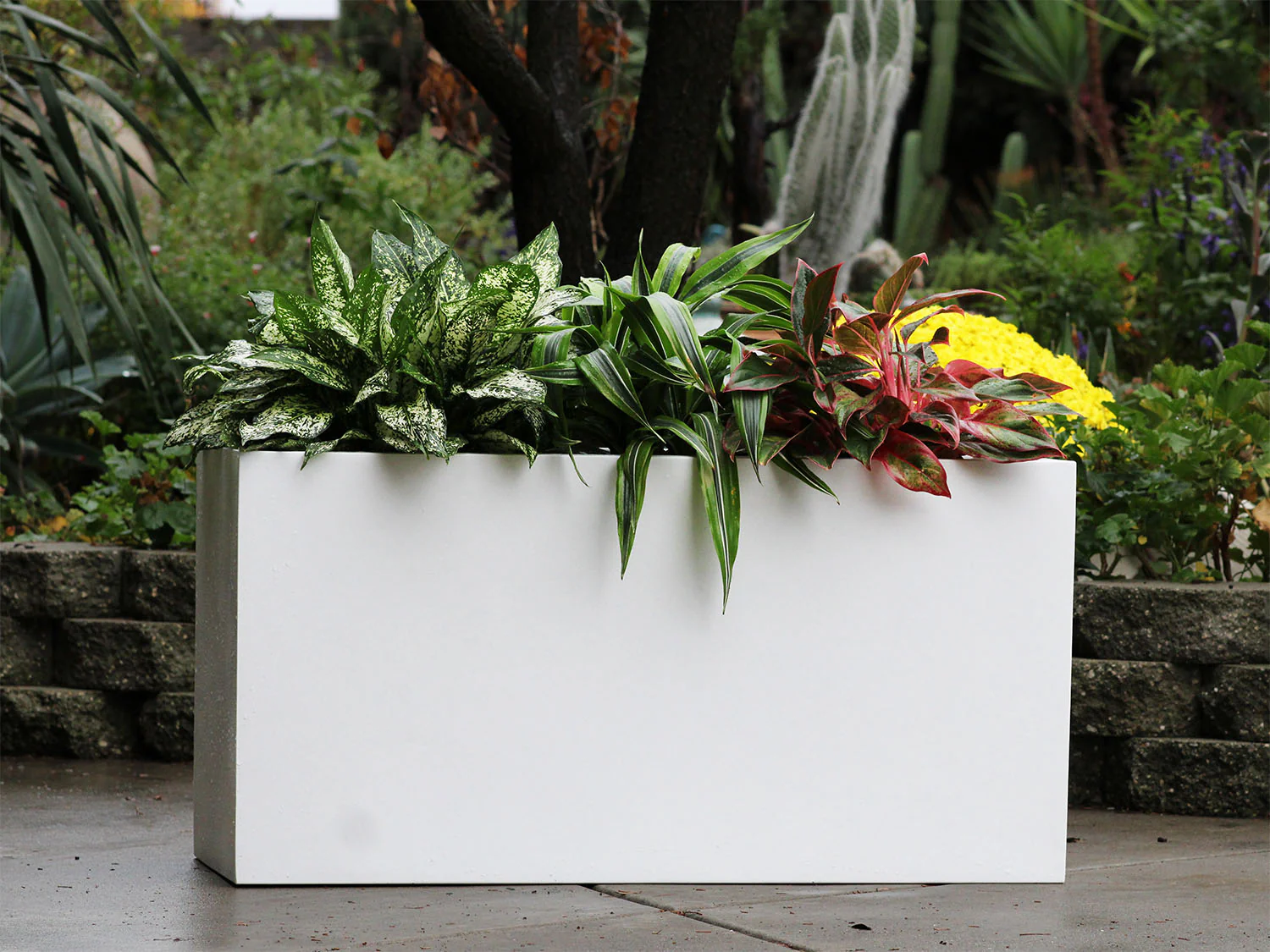 Rectangular Box Planter By Plantatorem - Image 2