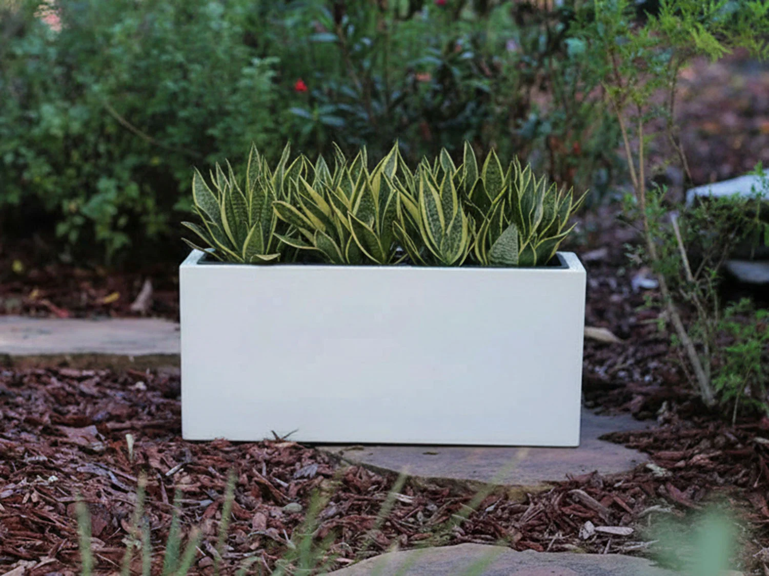 Rectangular Box Planter By Plantatorem - Image 3