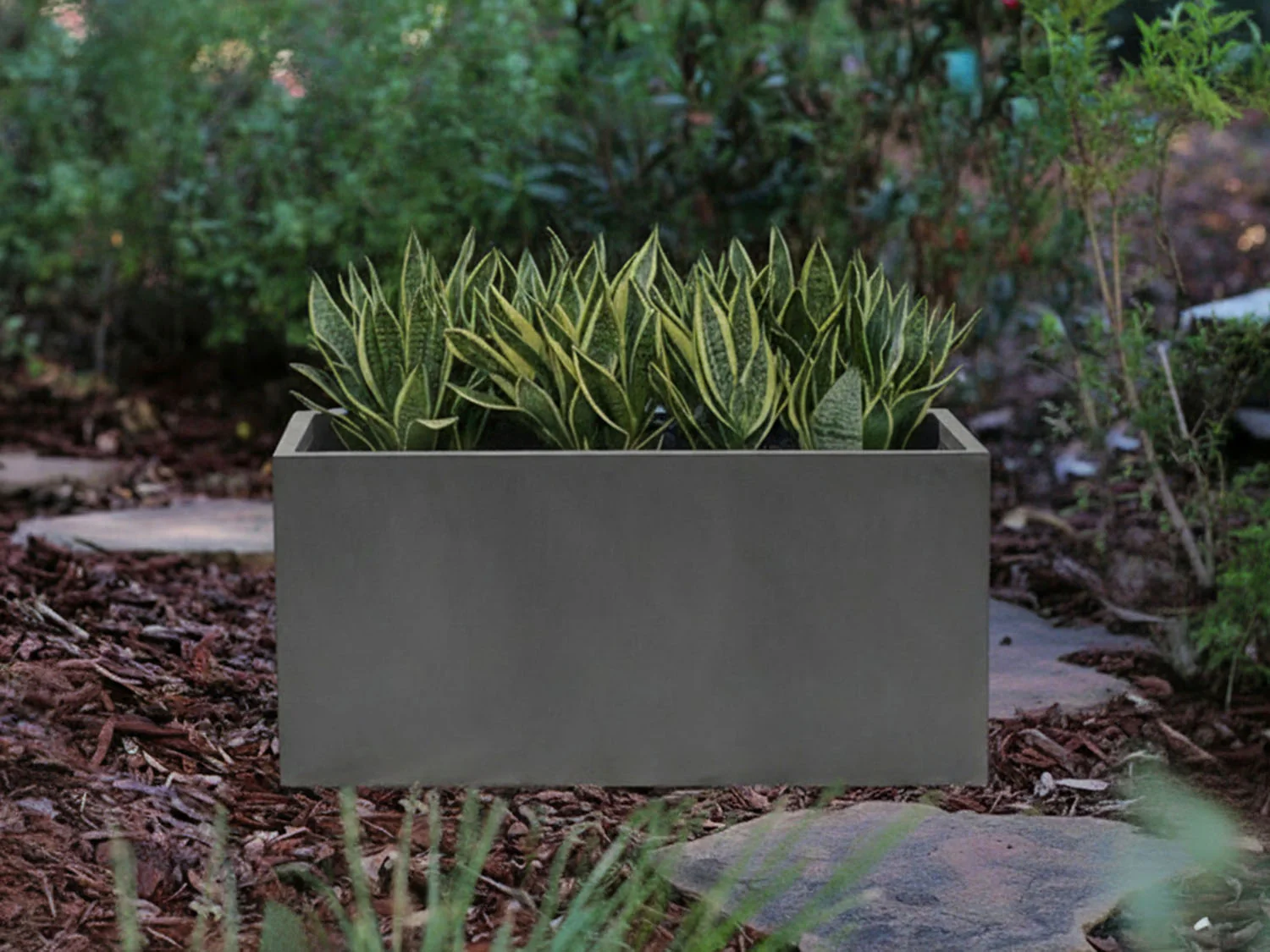 Rectangular Box Planter By Plantatorem - Image 5
