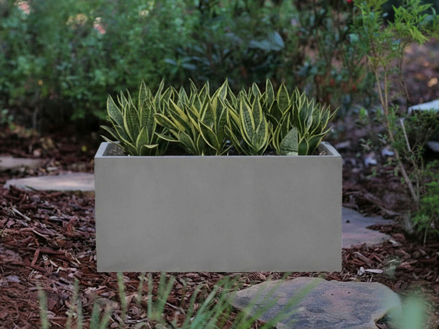 Rectangular Box Planter By Plantatorem - Image 7