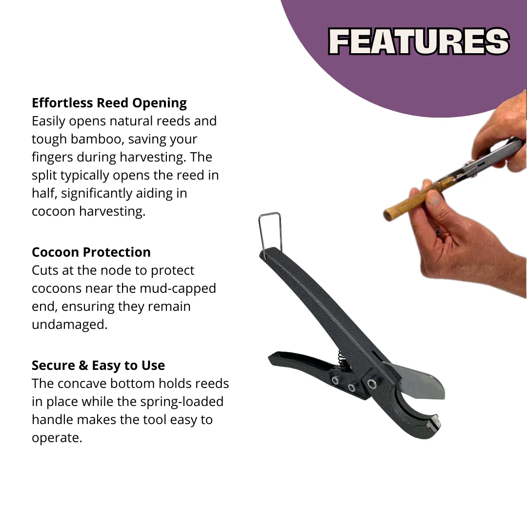 Reed Splitter - Image 2
