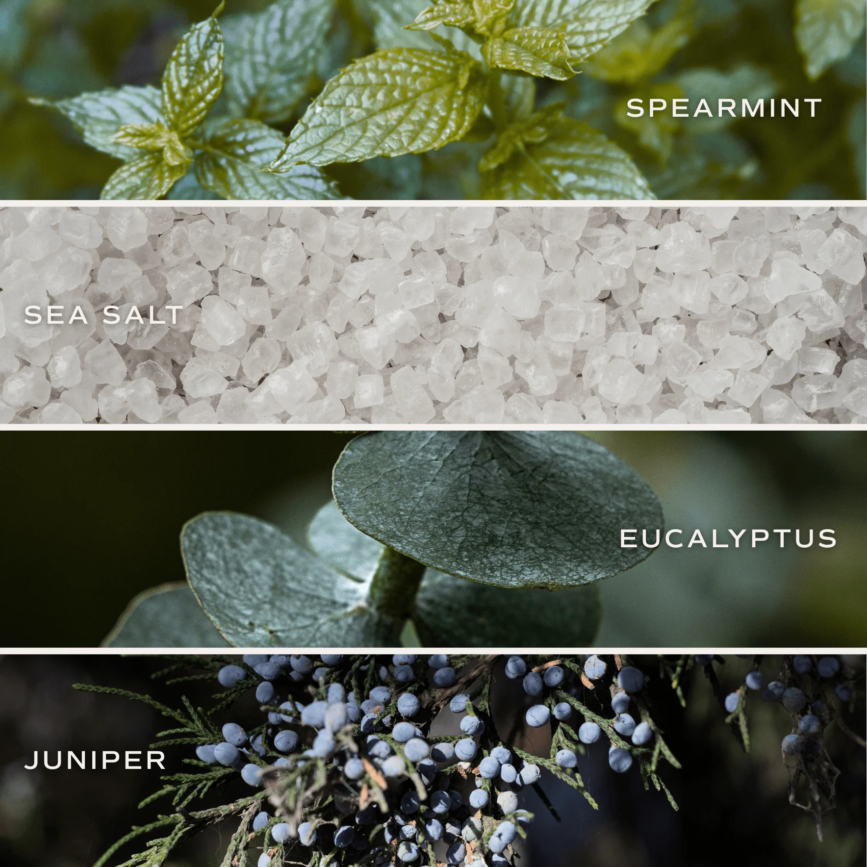 Restore and Renew White Eucalyptus 4.6 oz Bath Bomb - Image 6