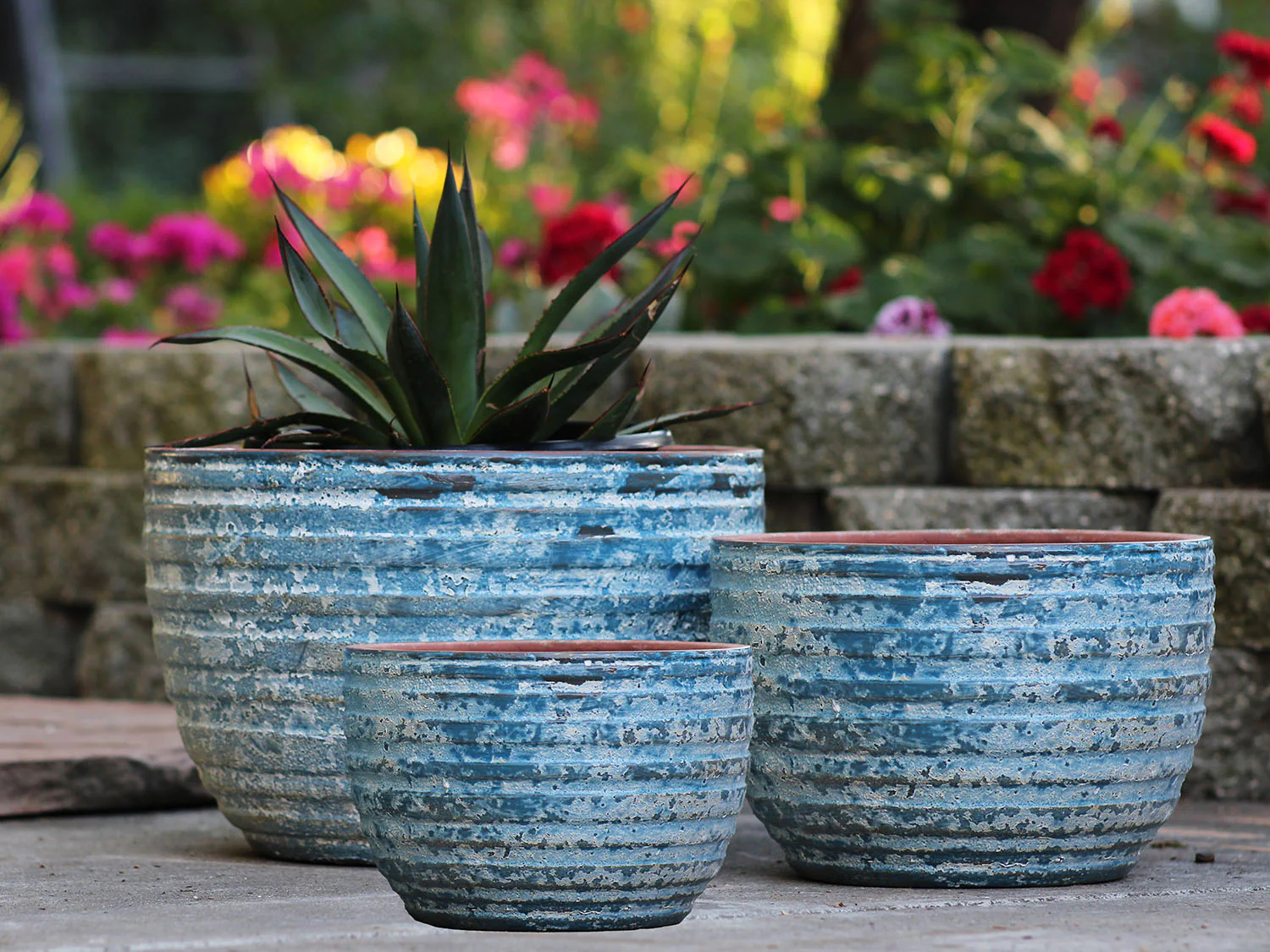 Ribbed Bowls - Image 2