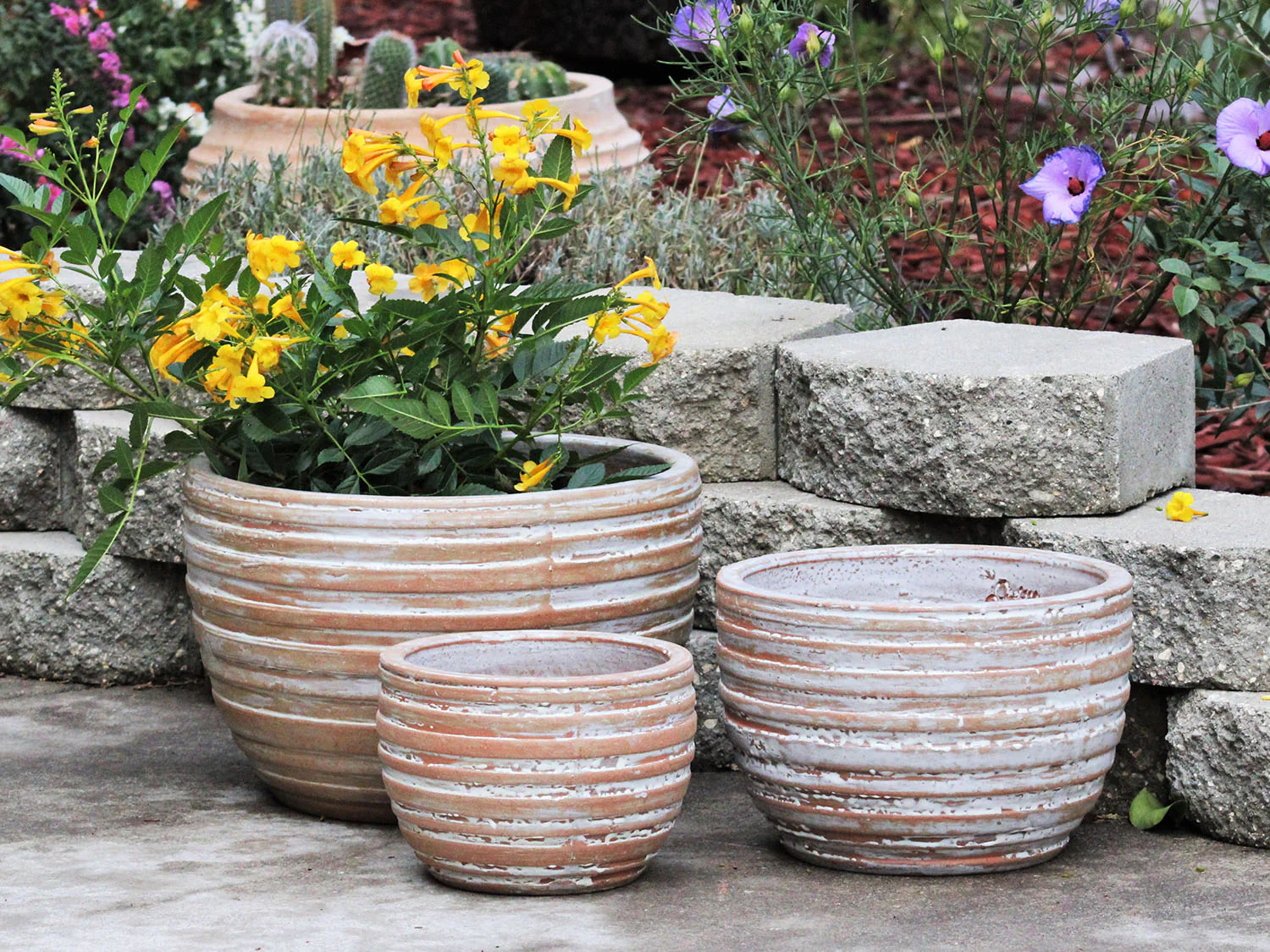 Ribbed Bowls - Image 6