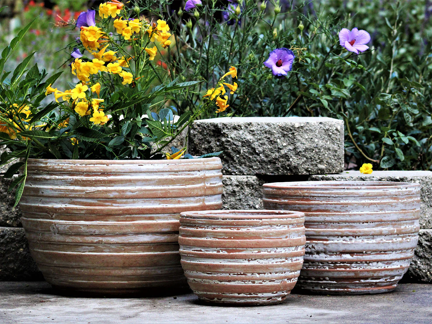 Ribbed Bowls - Image 7