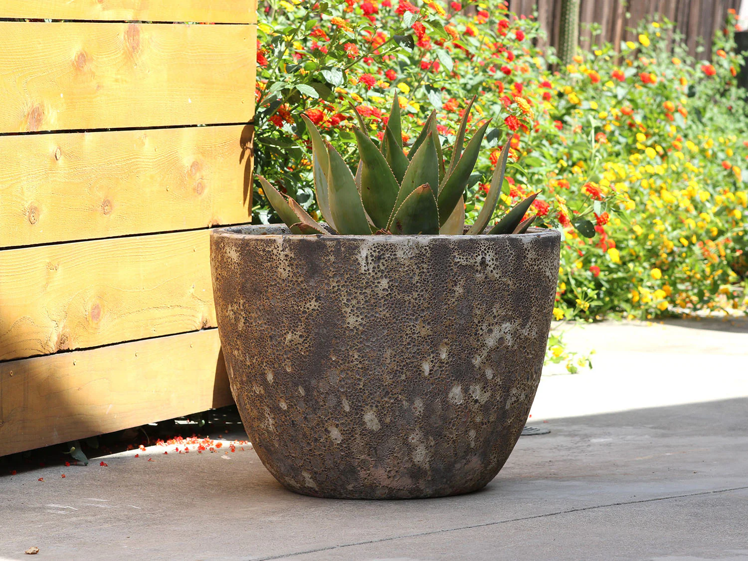 Rimless Parco Planter - Set of 3 By Plantatorem - Image 7
