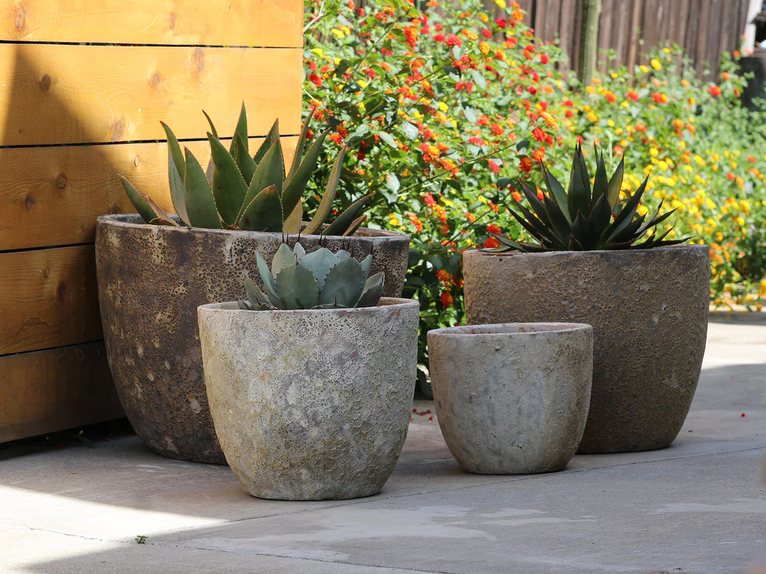 Rimless Parco Planter - Set of 4 By Plantatorem - Image 19