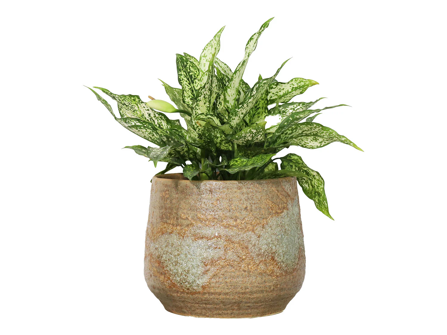Round Hand Formed Planter - Image 3