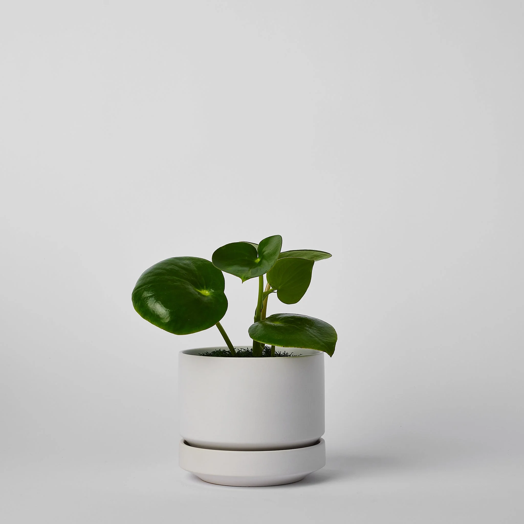 Round Two - Image 16