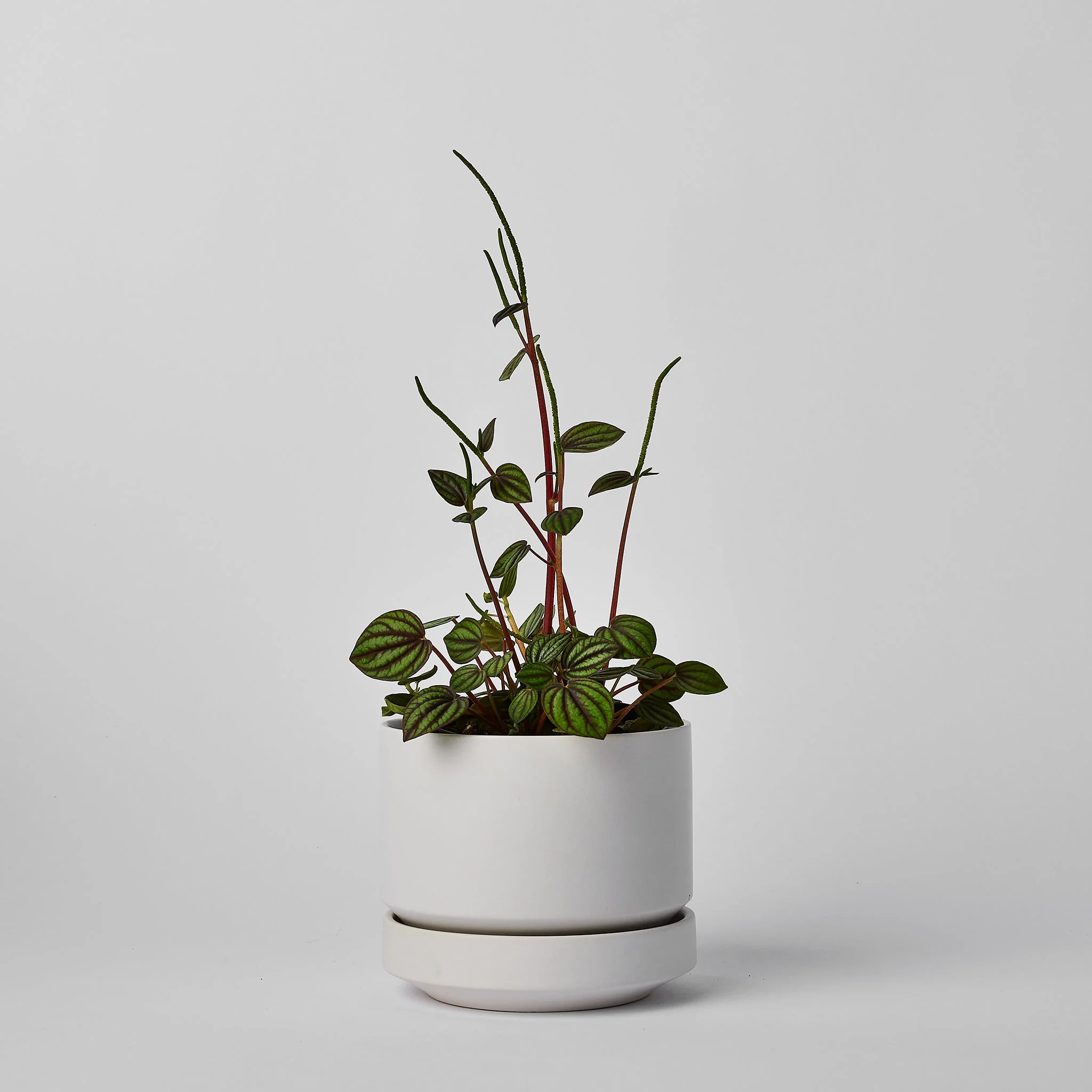 Round Two - Image 17