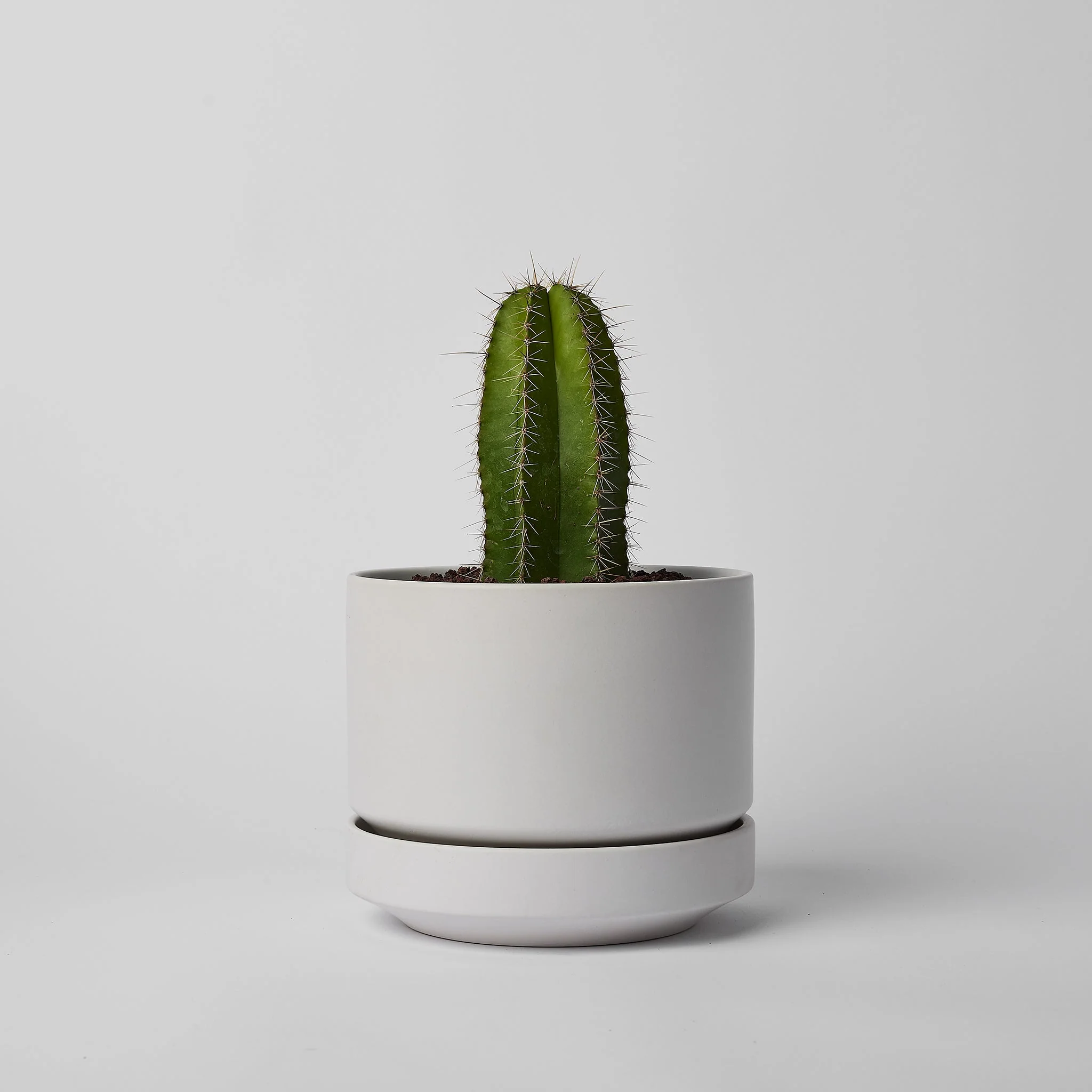 Round Two - Image 18