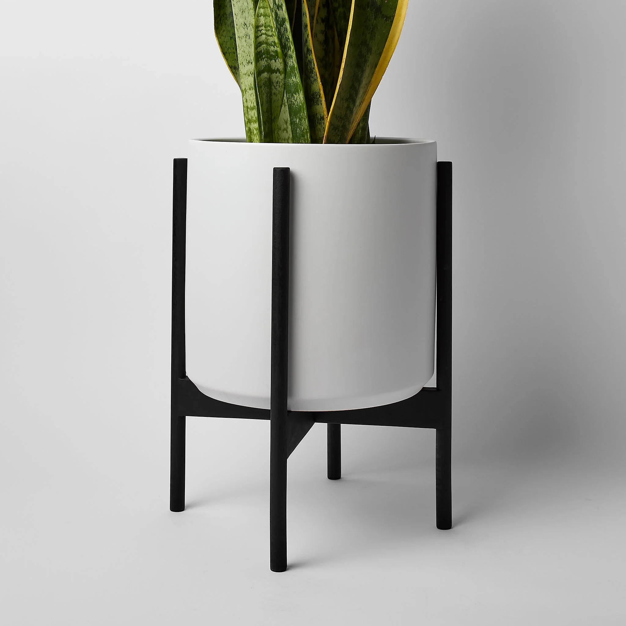 Rounded Hardwood Plant Stand - Image 12