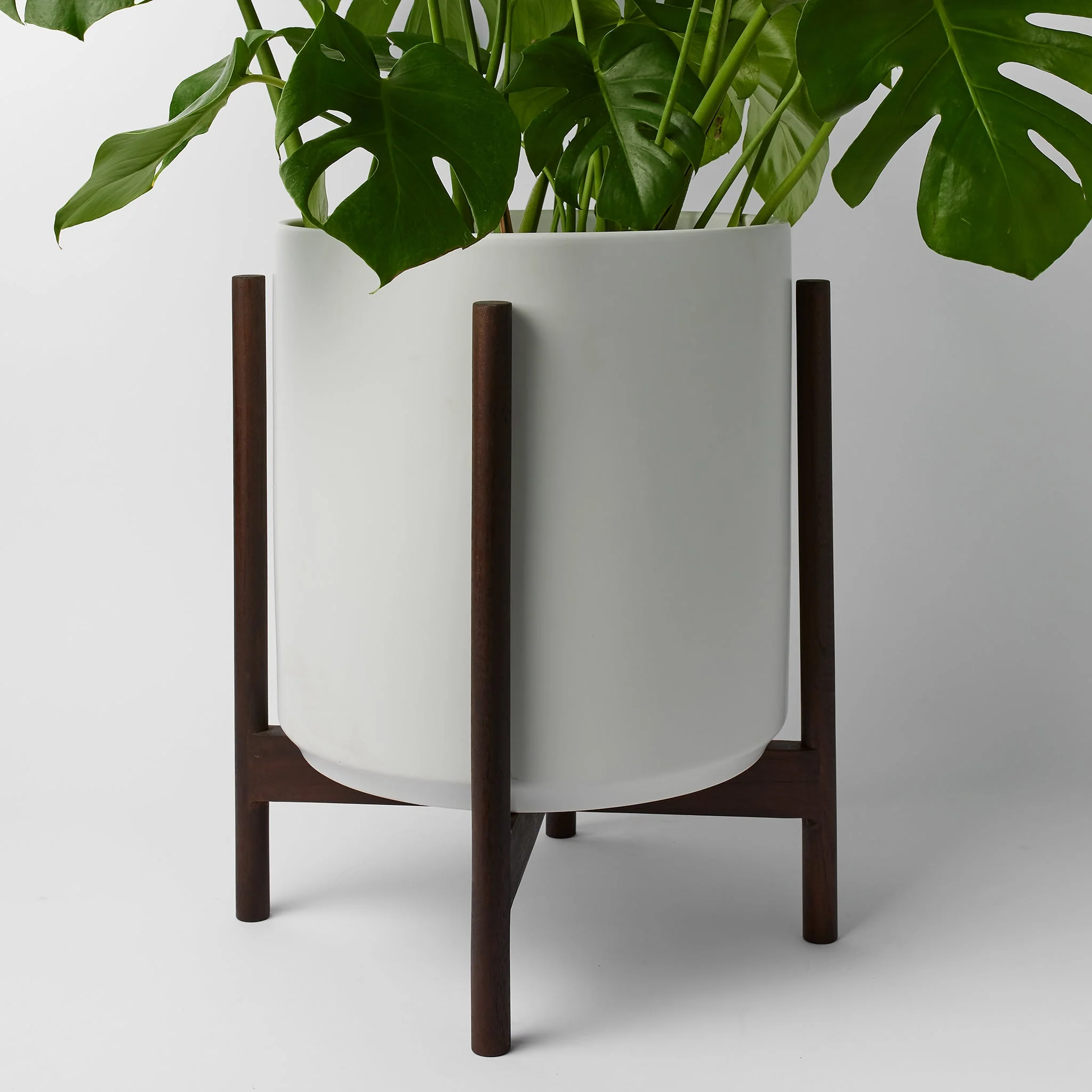 Rounded Hardwood Plant Stand - Image 16