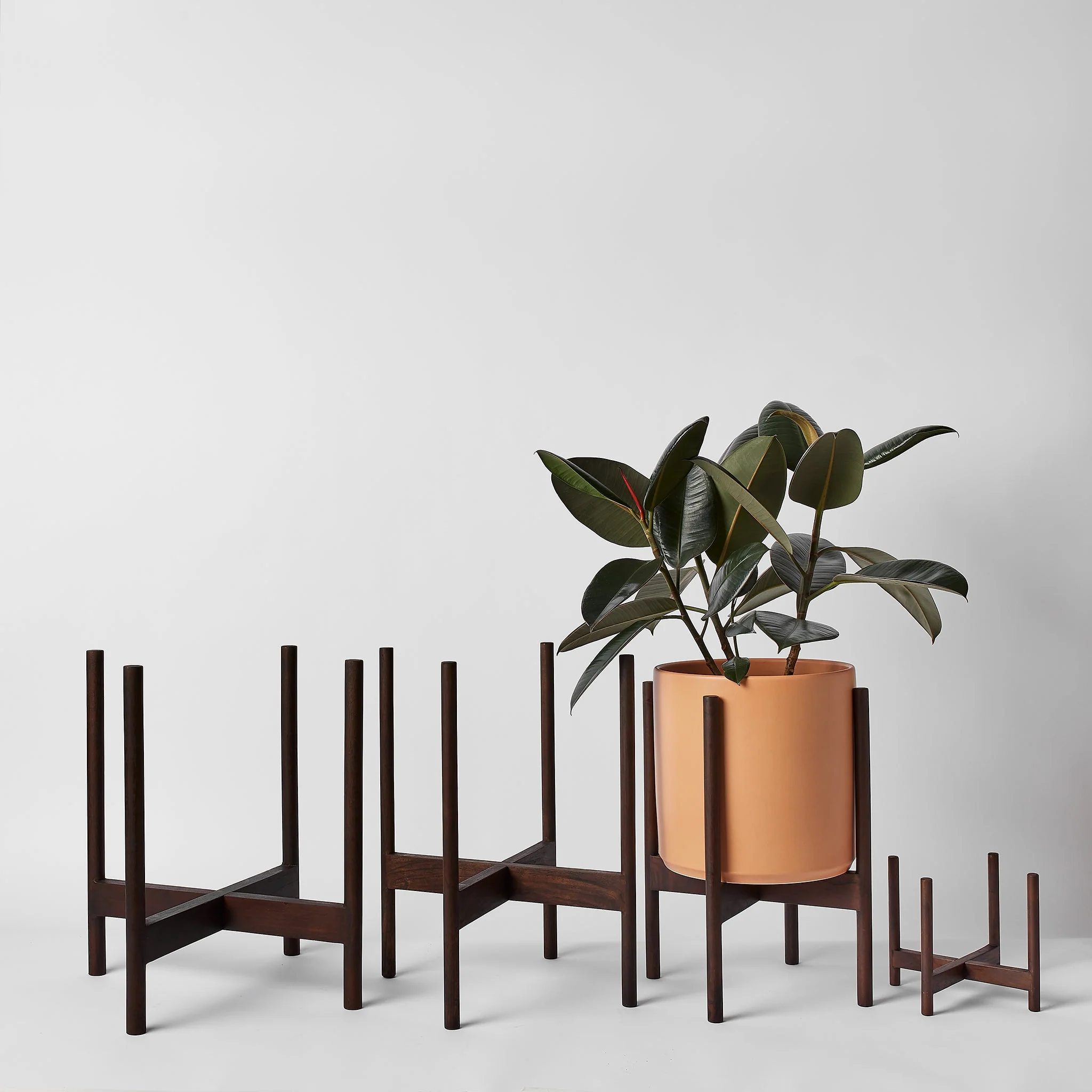 Rounded Hardwood Plant Stand - Image 20