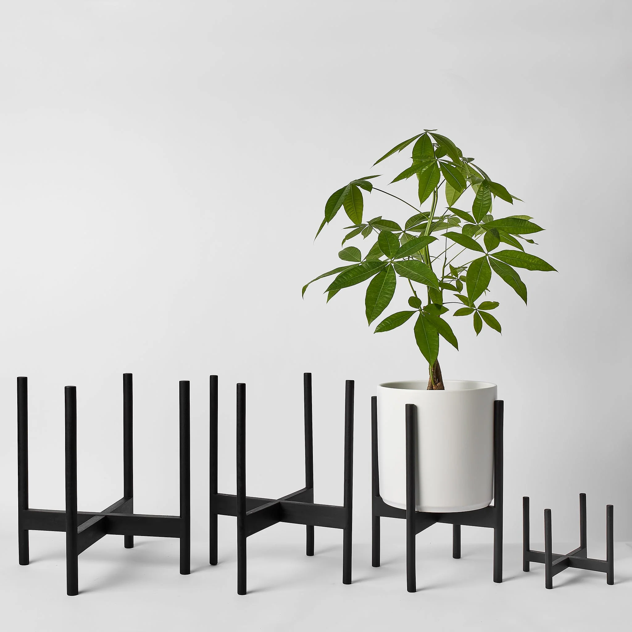 Rounded Hardwood Plant Stand - Image 23