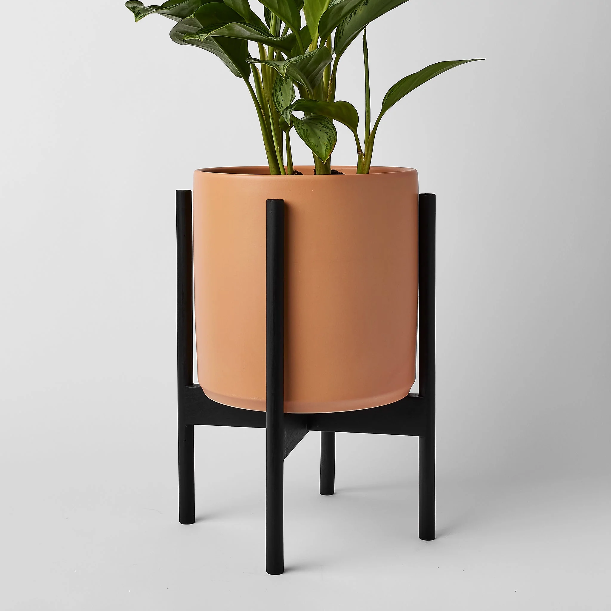 Rounded Hardwood Plant Stand - Image 8