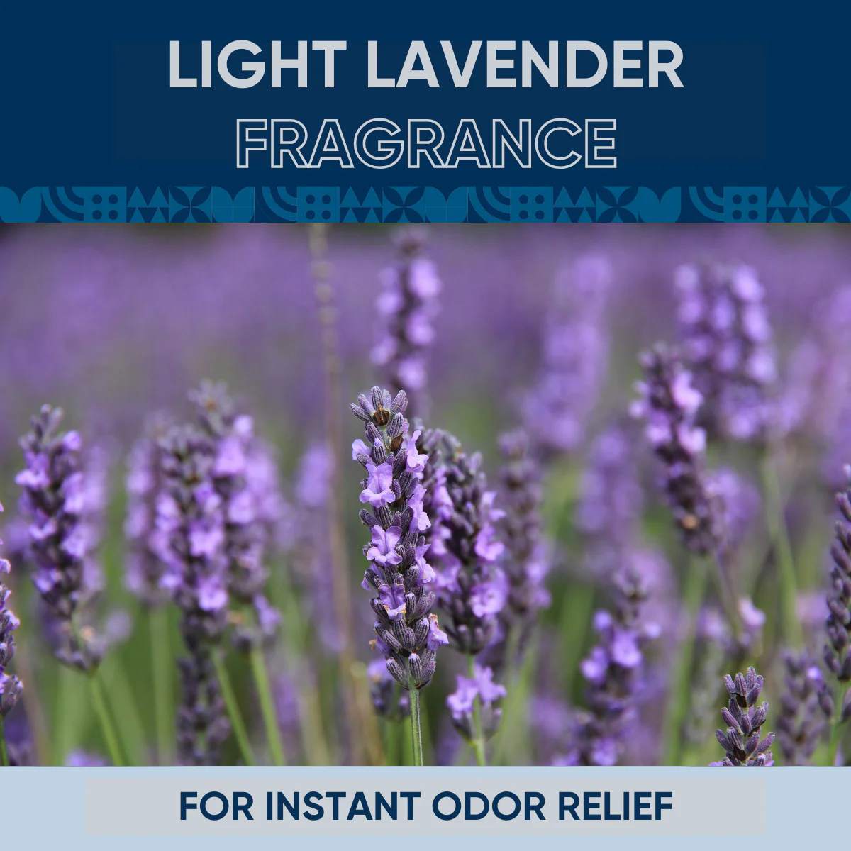 RV Holding Tank Treatment Liquid - Lavender - Image 15